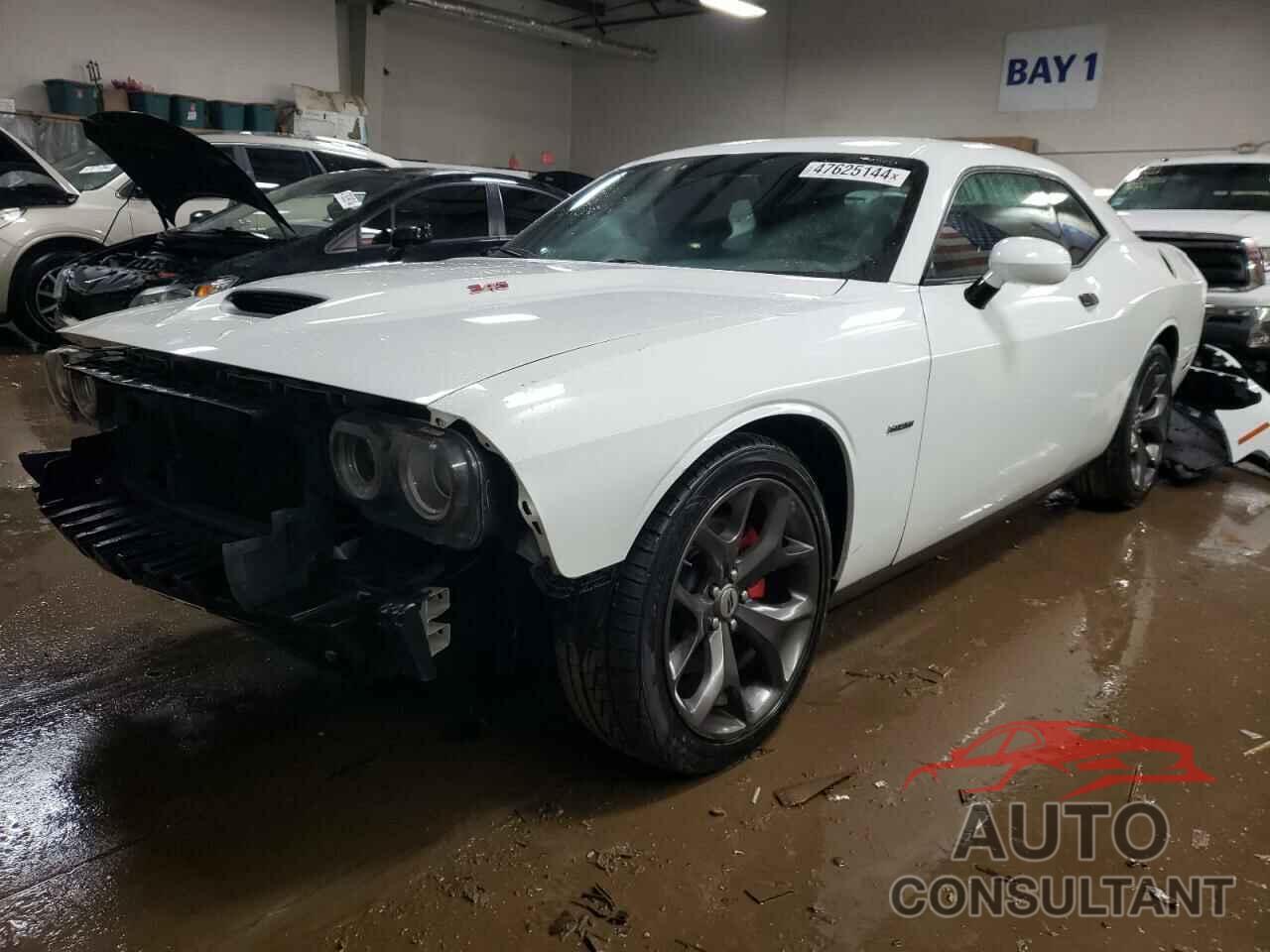 DODGE CHALLENGER 2019 - 2C3CDZBT9KH708506