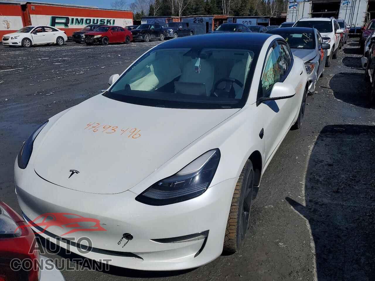 TESLA MODEL 3 2021 - 5YJ3E1EA2MF082861