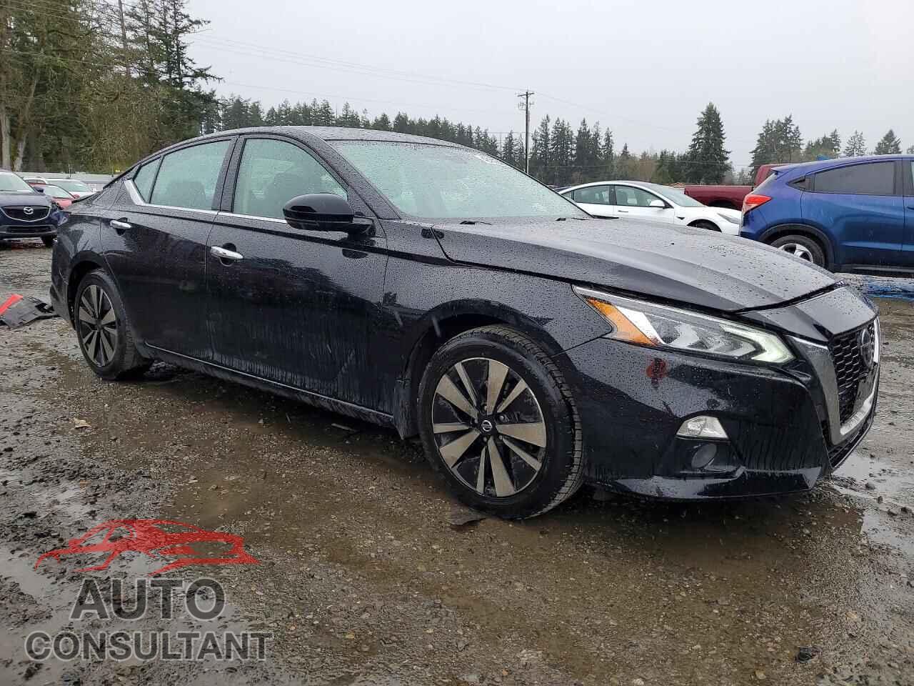 NISSAN ALTIMA 2019 - 1N4BL4EVXKC190845
