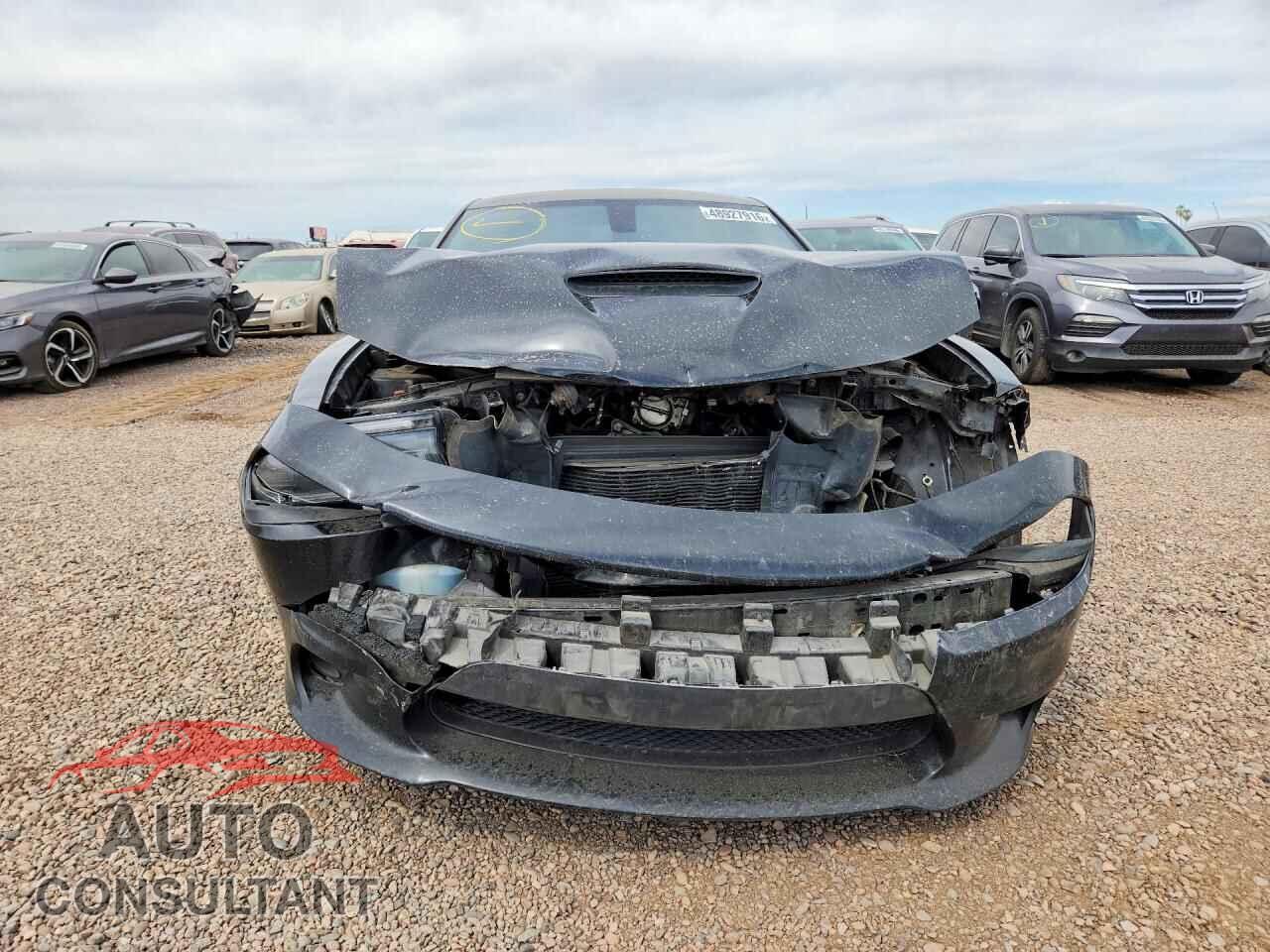 DODGE CHARGER 2019 - 2C3CDXCT7KH584416