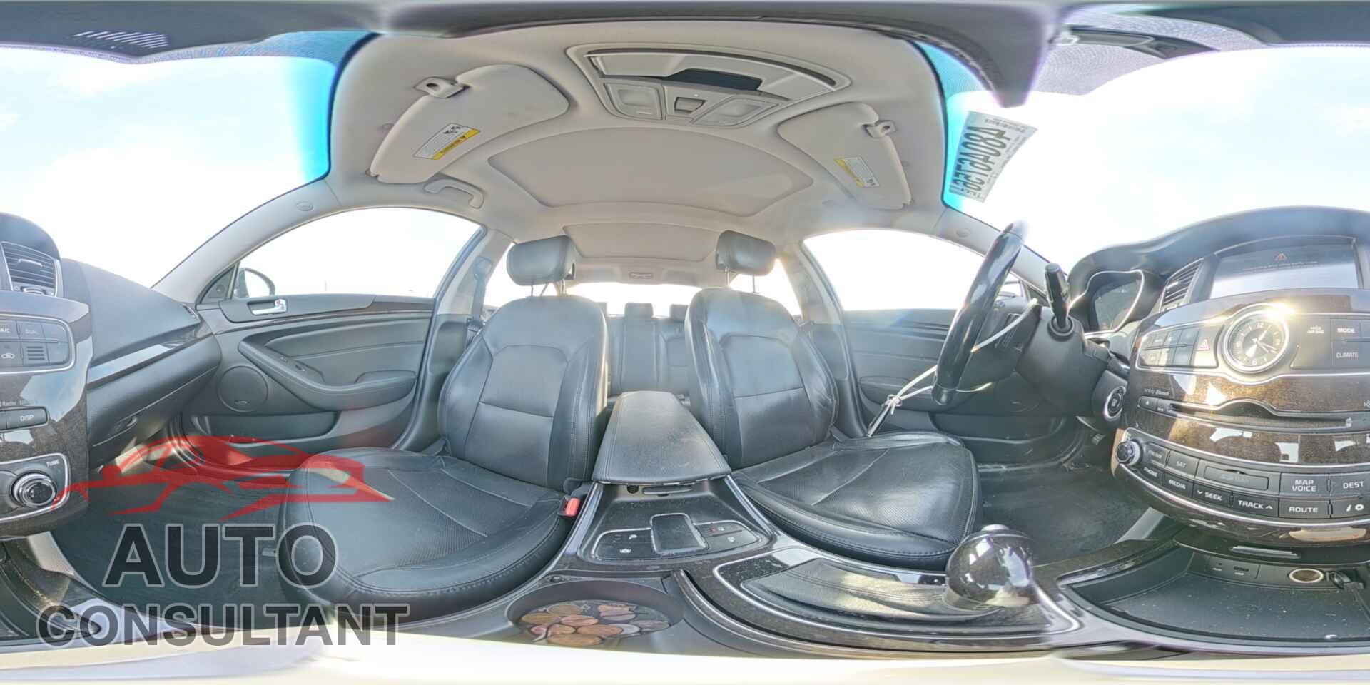 KIA CADENZA 2014 - KNALN4D79E5133022