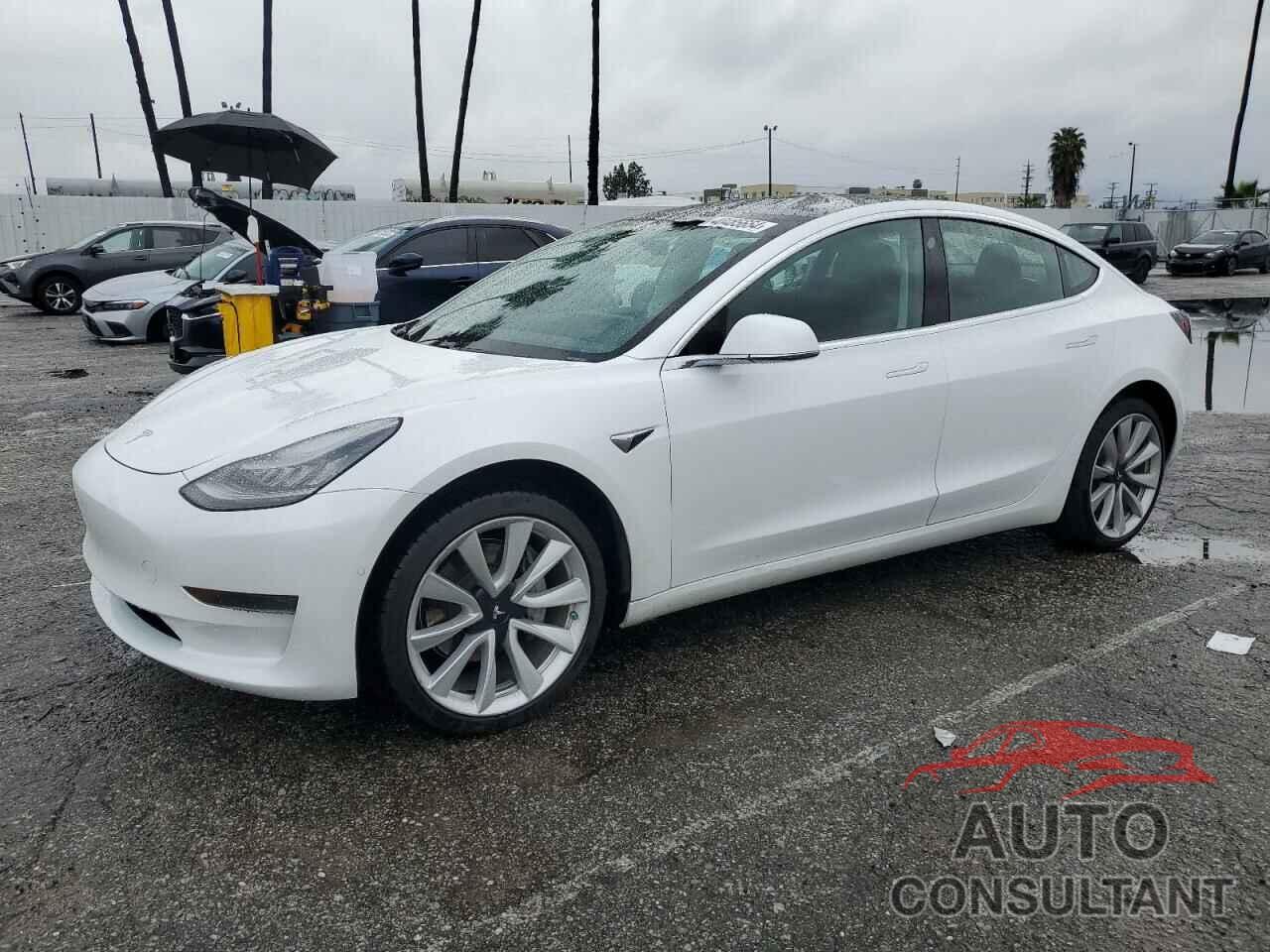 TESLA MODEL 3 2019 - 5YJ3E1EA7KF446611