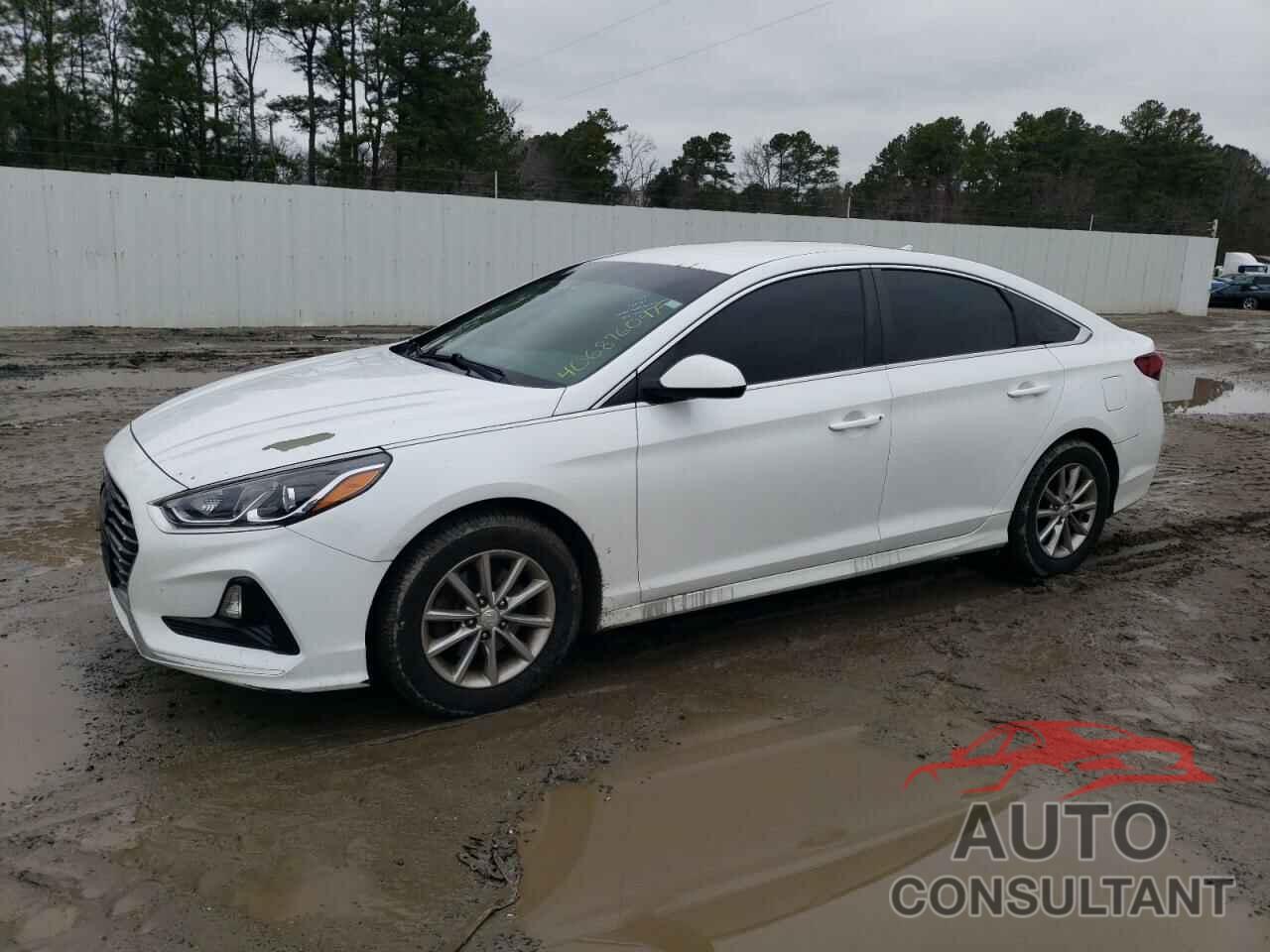 HYUNDAI SONATA 2019 - 5NPE24AFXKH753907