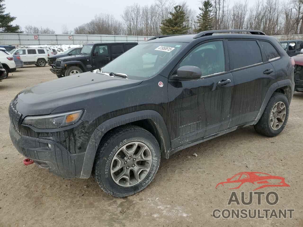 JEEP CHEROKEE 2020 - 1C4PJMBX5LD527302