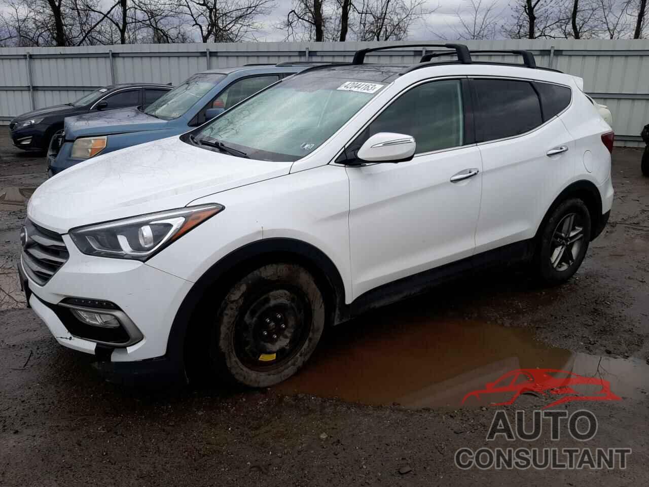 HYUNDAI SANTA FE 2017 - 5NMZUDLB3HH037412