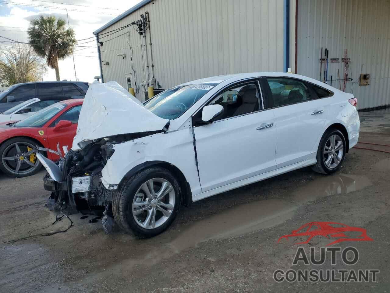 HYUNDAI SONATA 2019 - 5NPE34AF3KH788043