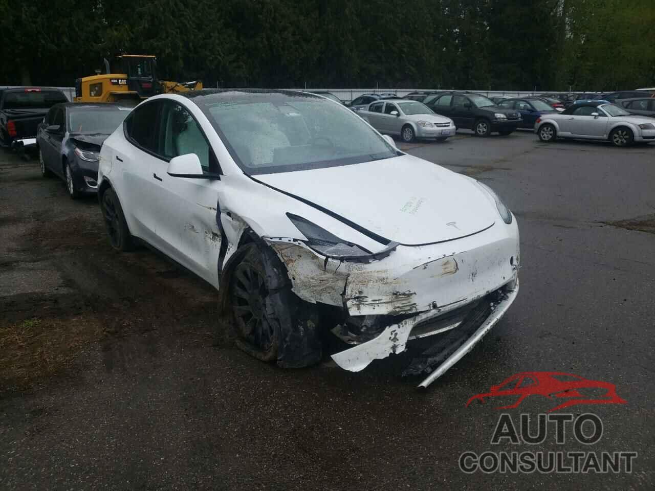 TESLA MODEL Y 2021 - 5YJYGDEE1MF277063
