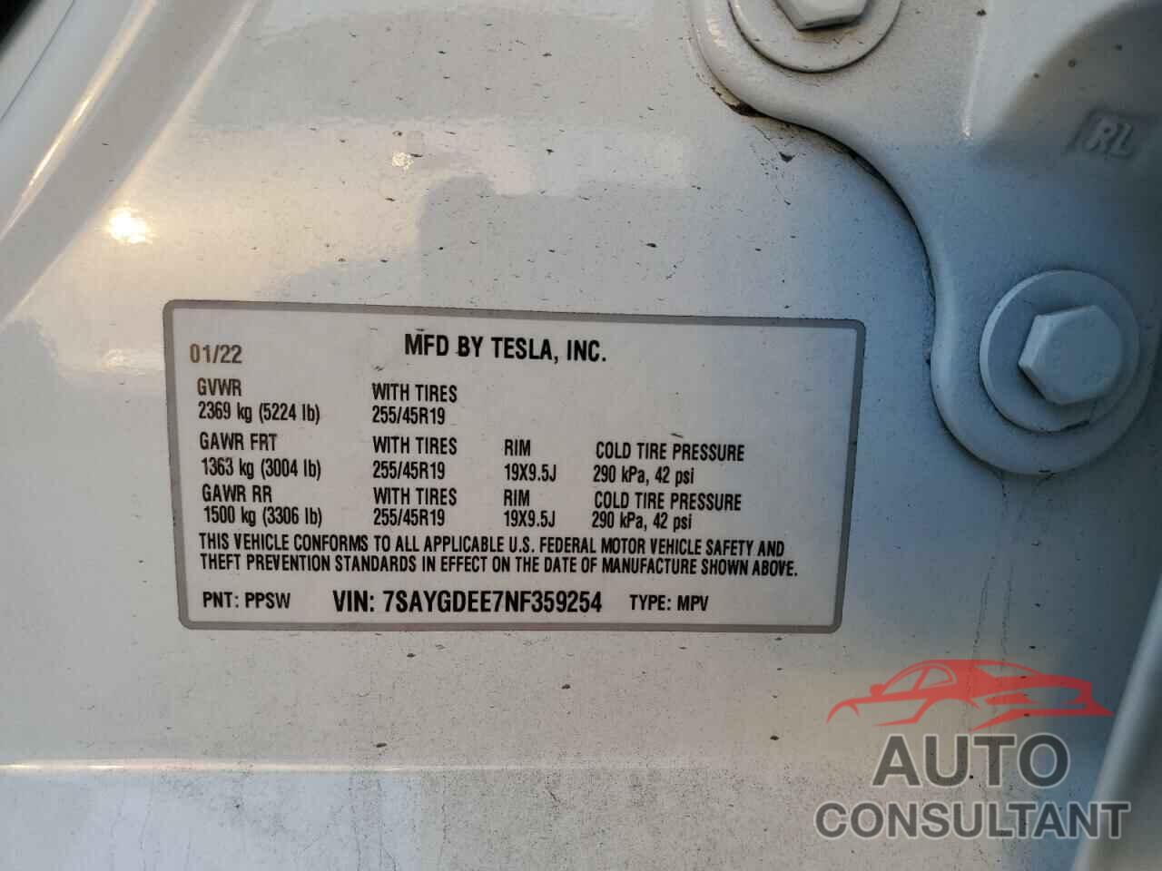 TESLA MODEL Y 2022 - 7SAYGDEE7NF359254