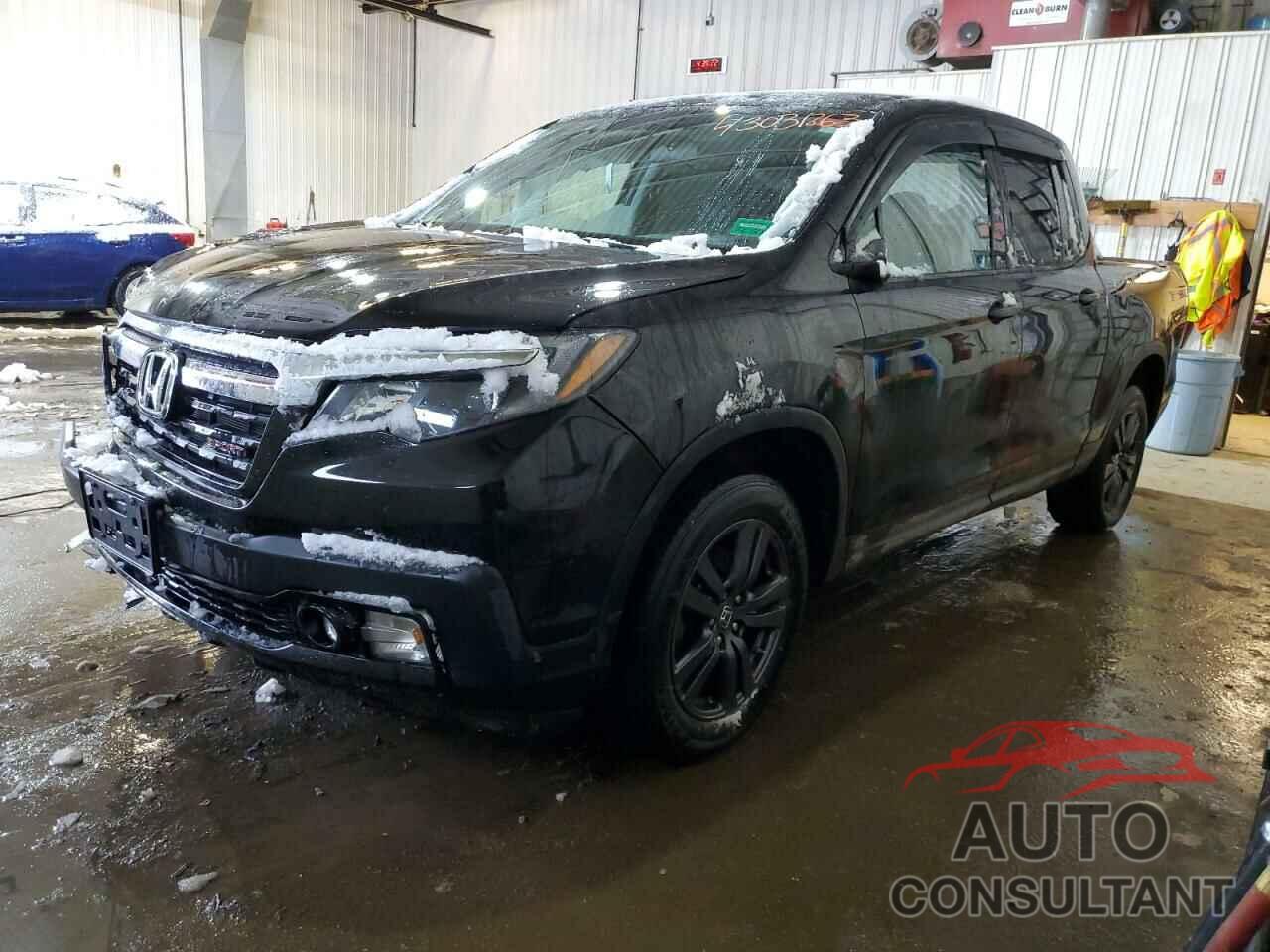 HONDA RIDGELINE 2019 - 5FPYK3F10KB047300