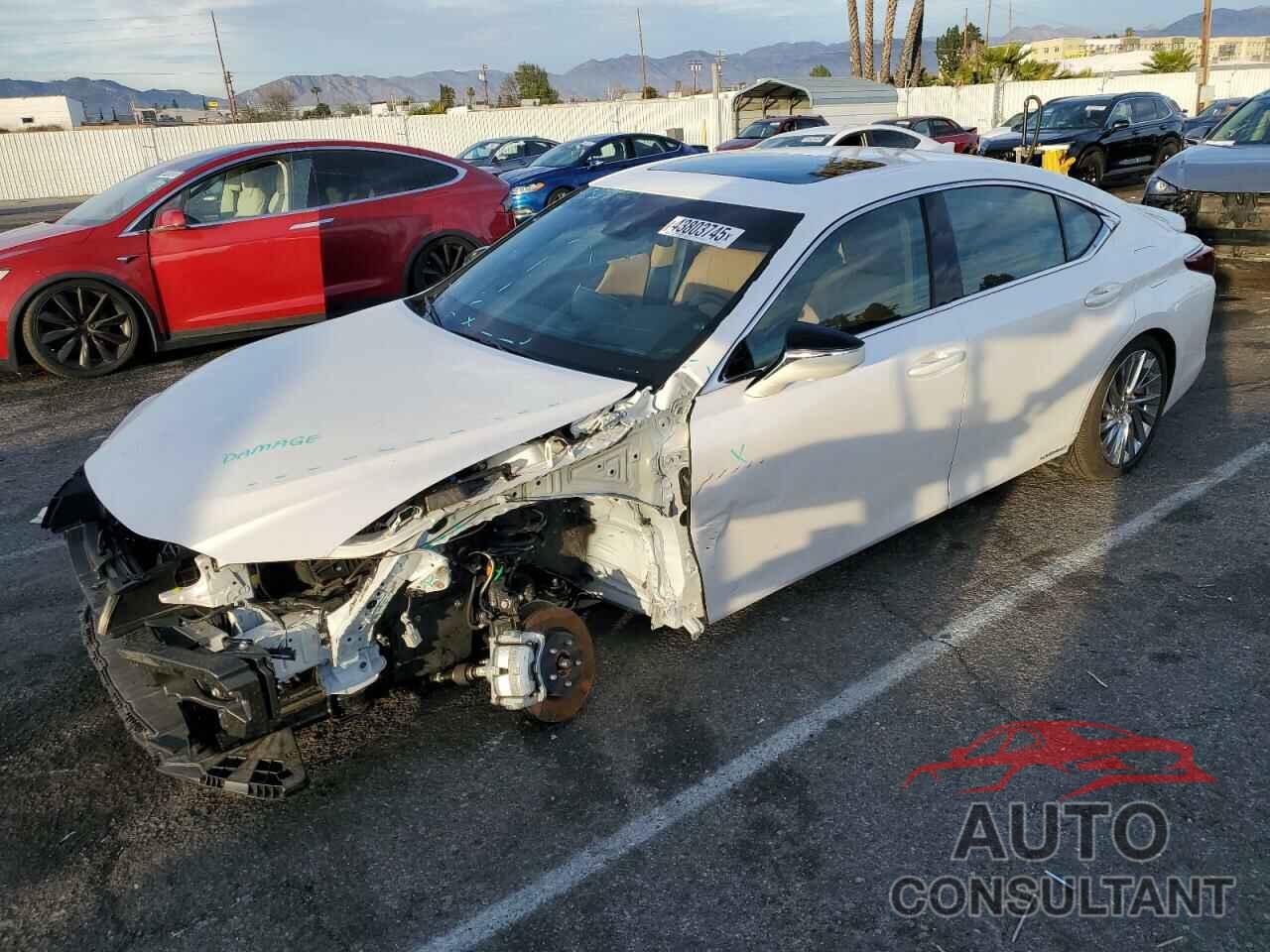 LEXUS ES300 2022 - 58AEA1C11NU018217