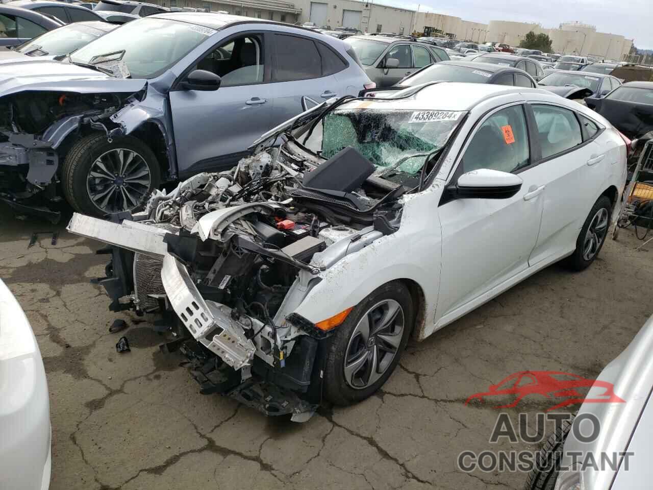 HONDA CIVIC 2020 - 19XFC2F67LE210728