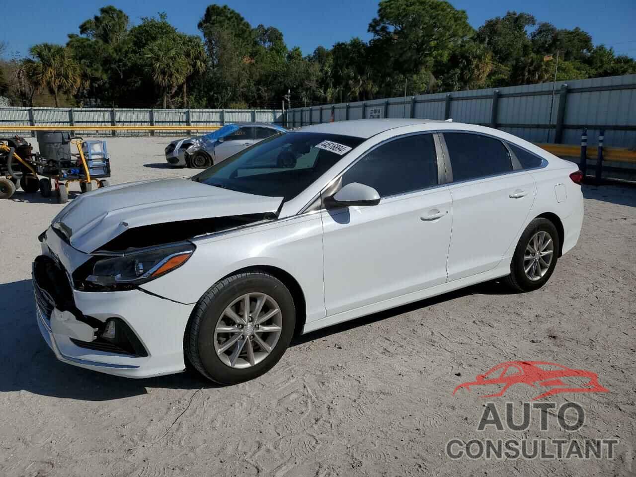 HYUNDAI SONATA 2019 - 5NPE24AF3KH766109