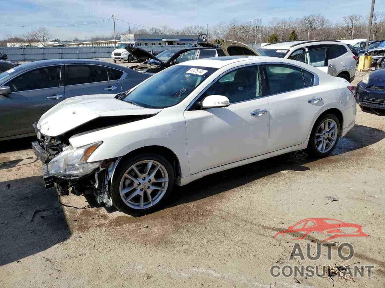 NISSAN MAXIMA 2011 - 1N4AA5AP2BC818167