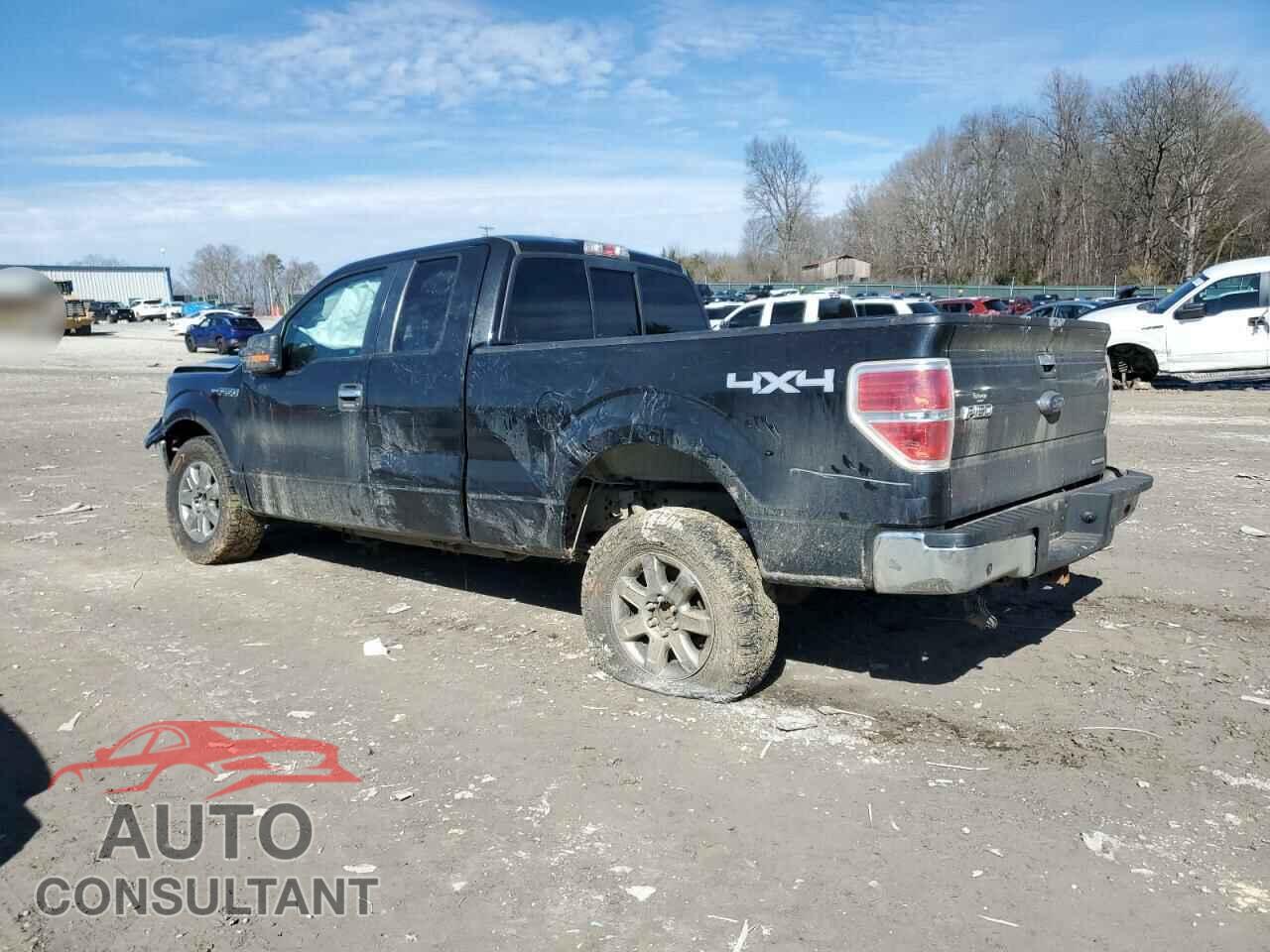 FORD F-150 2013 - 1FTFX1EF1DFD25039