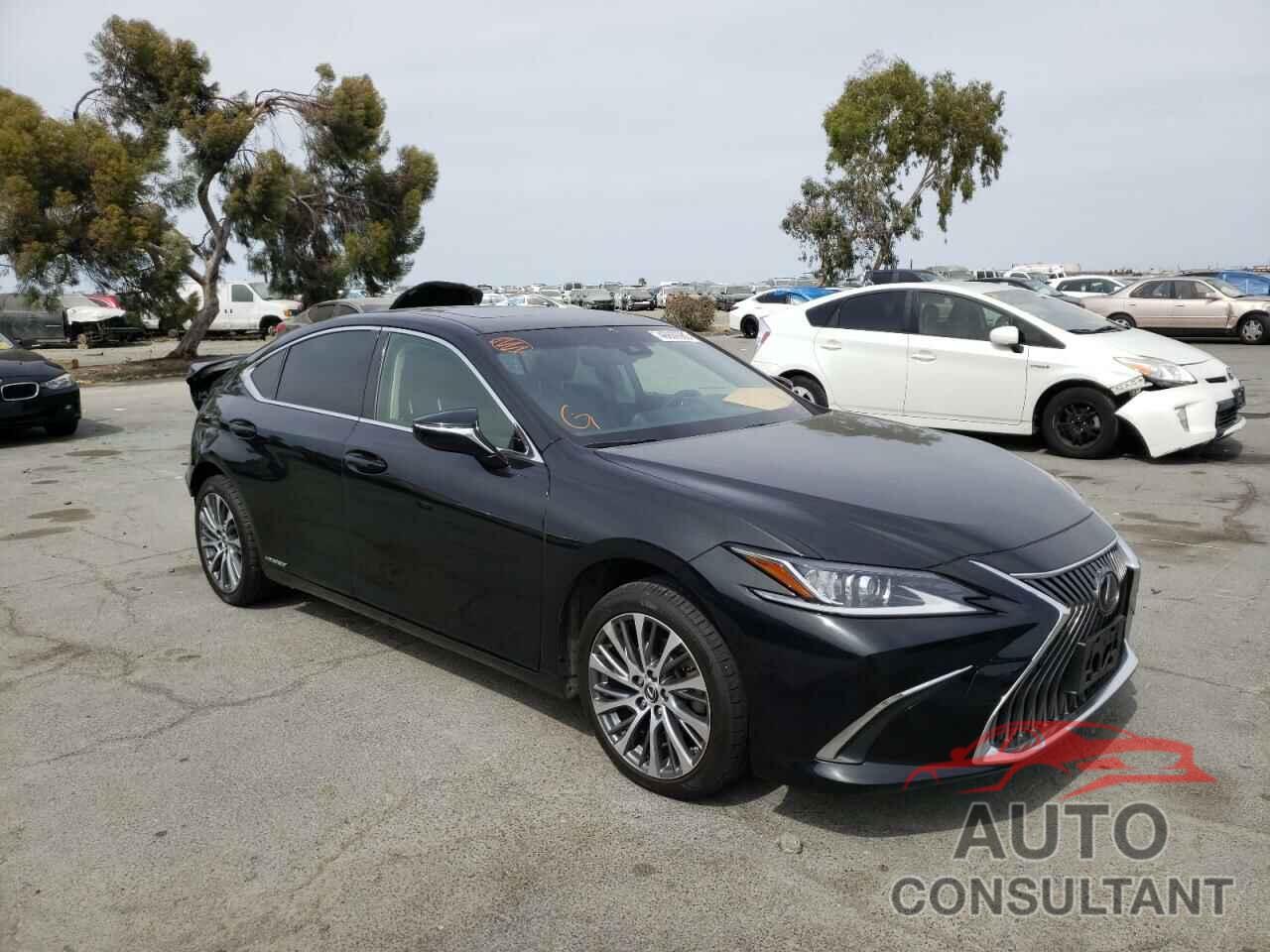 LEXUS ES300 2019 - JTHB21B1XK2004352