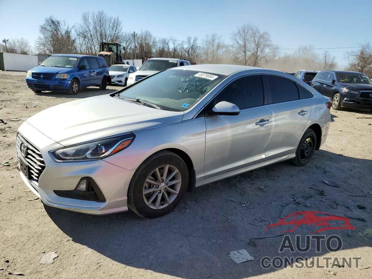 HYUNDAI SONATA 2019 - 5NPE24AF0KH781652