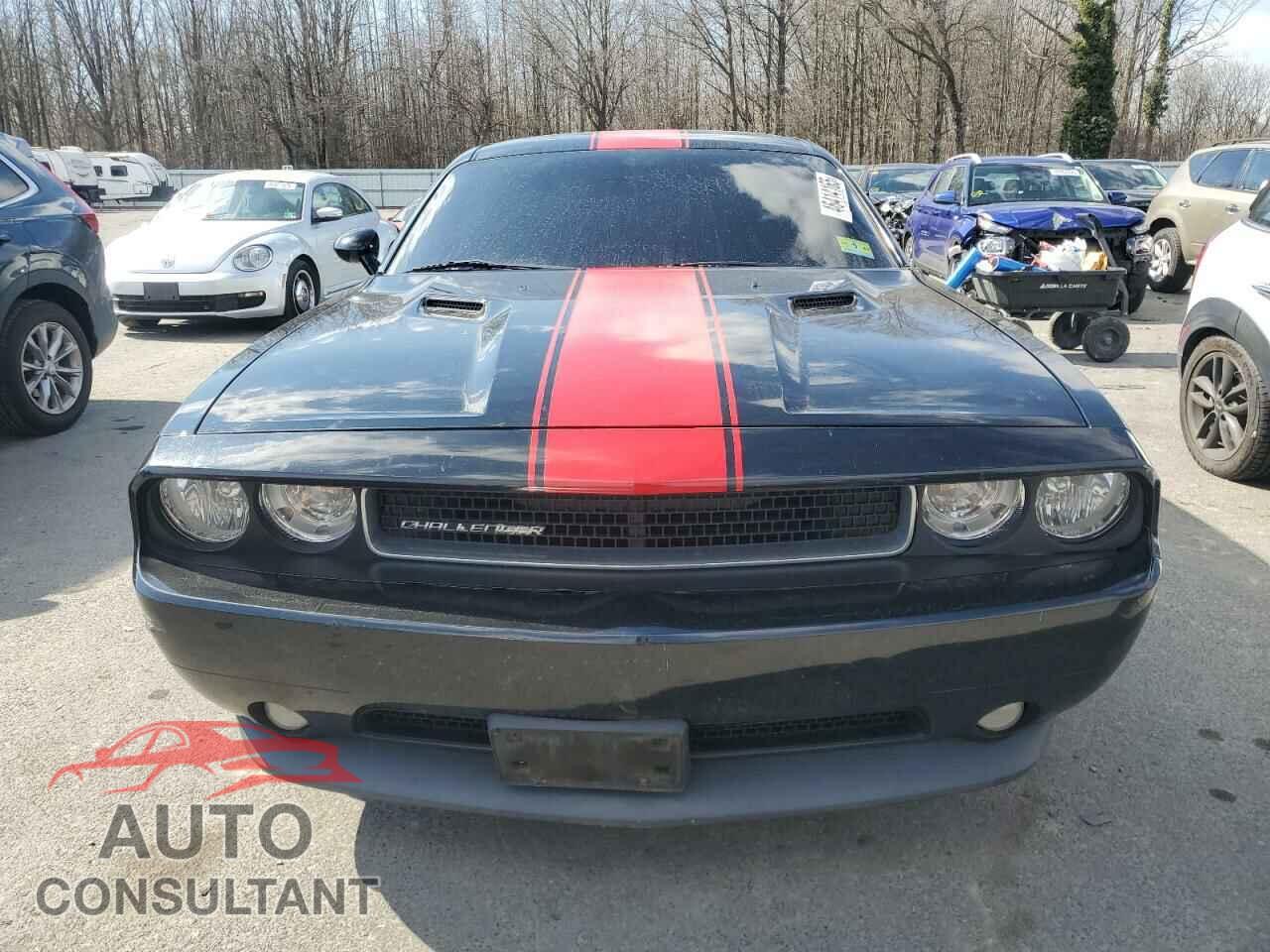 DODGE CHALLENGER 2012 - 2C3CDYAG1CH295111