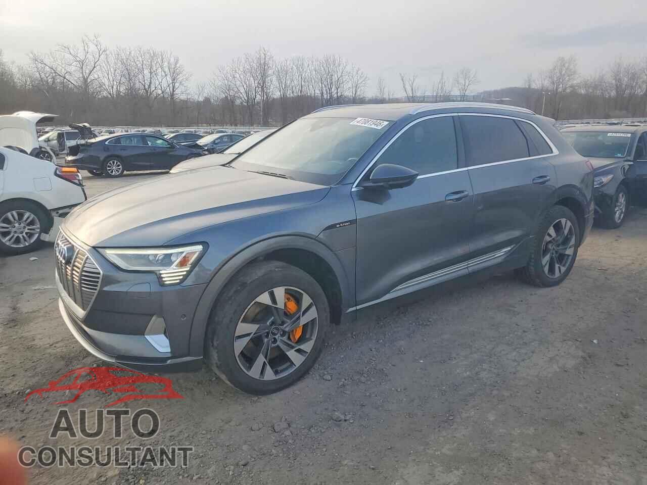 AUDI E-TRON 2019 - WA1VAAGE2KB005762