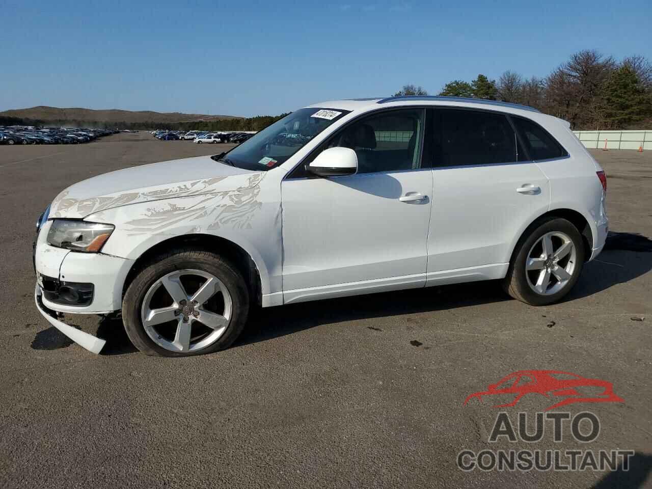AUDI Q5 2010 - WA1LKAFP7AA010340