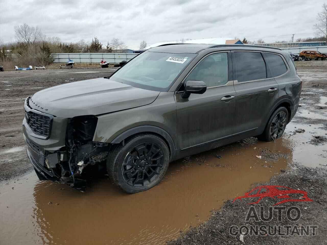 KIA TELLURIDE 2021 - 5XYP5DHC2MG099216