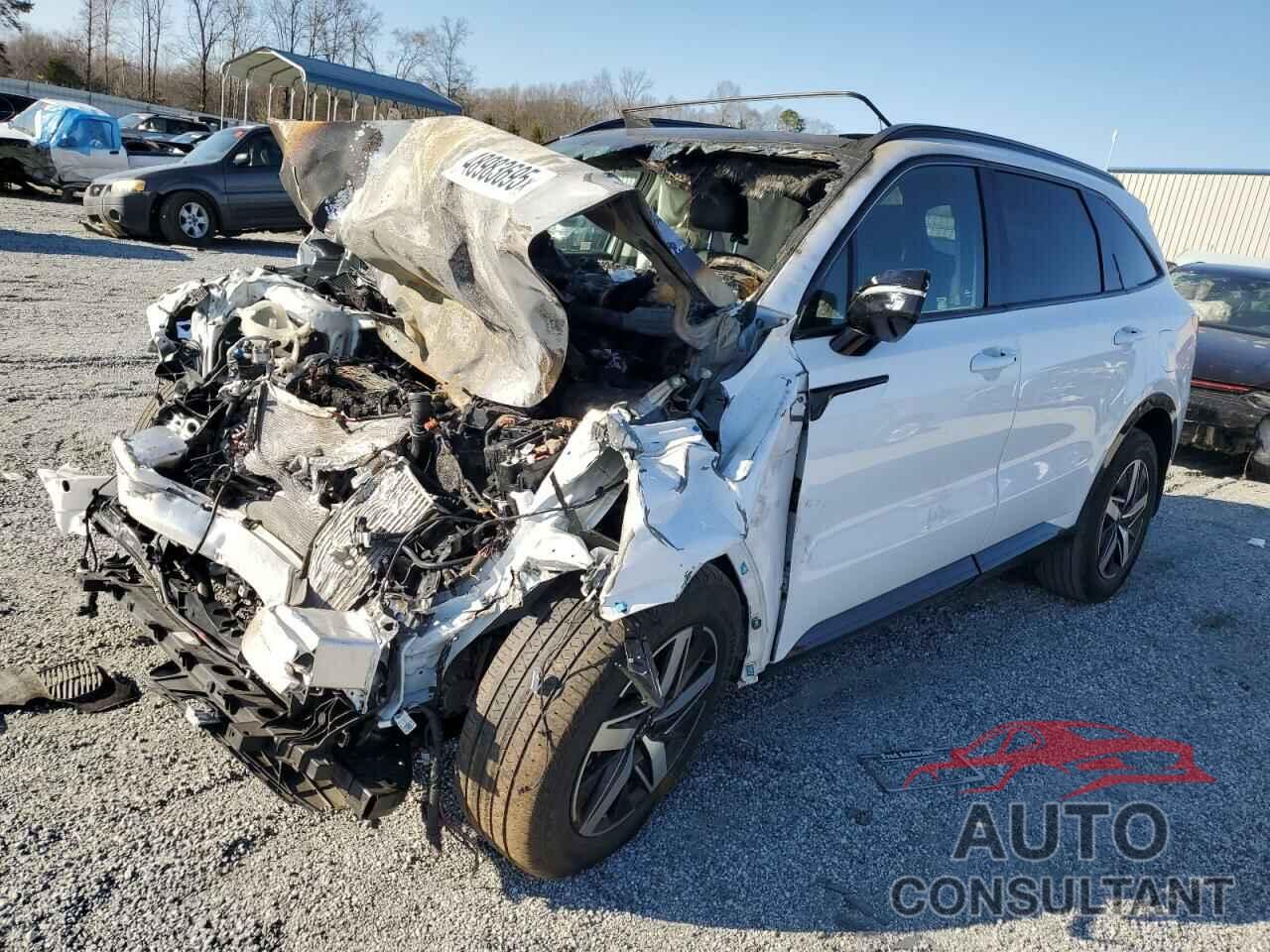 KIA SORENTO 2023 - 5XYRH4LFXPG180681