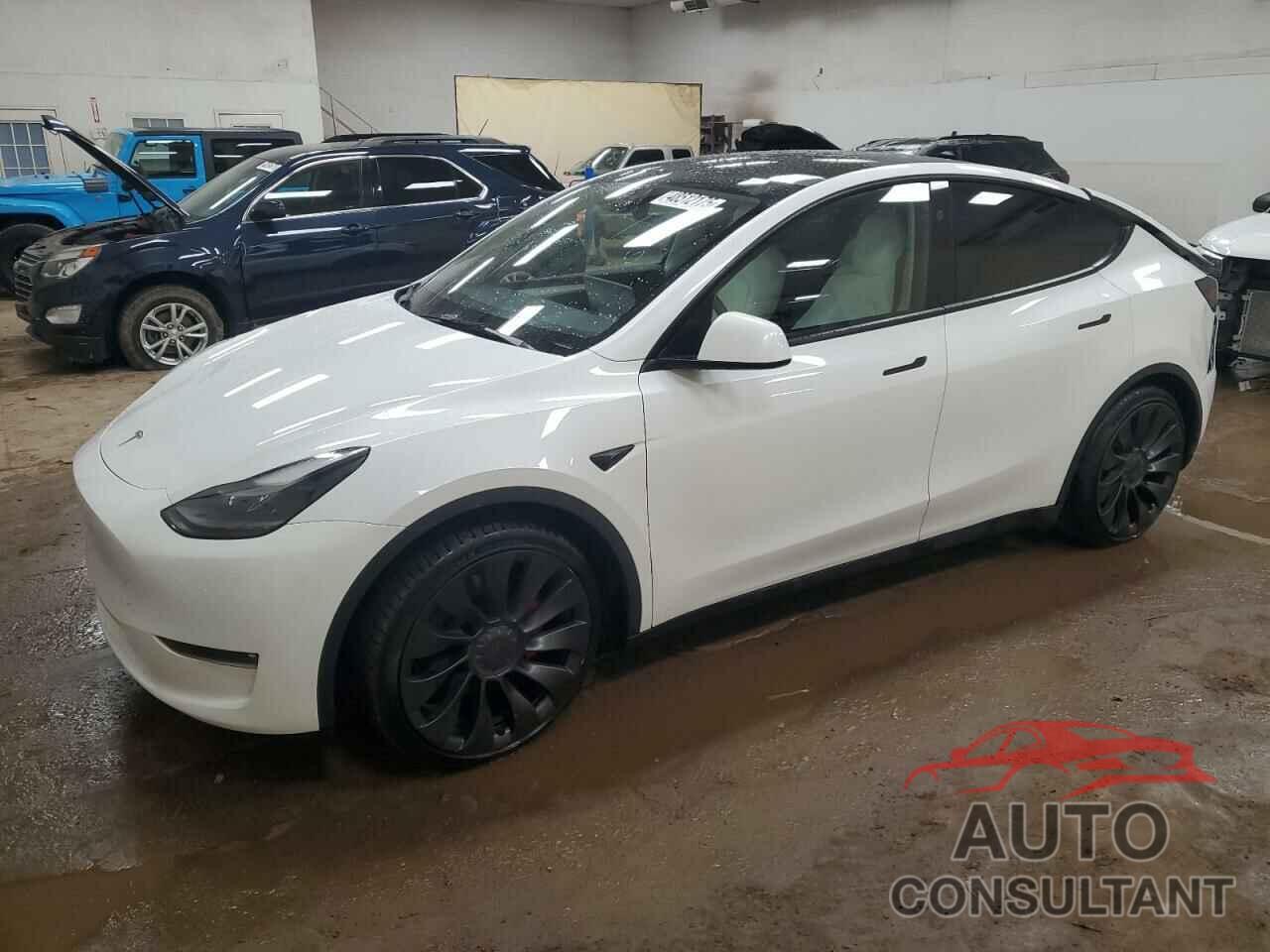 TESLA MODEL Y 2023 - 7SAYGDEF0PF830804