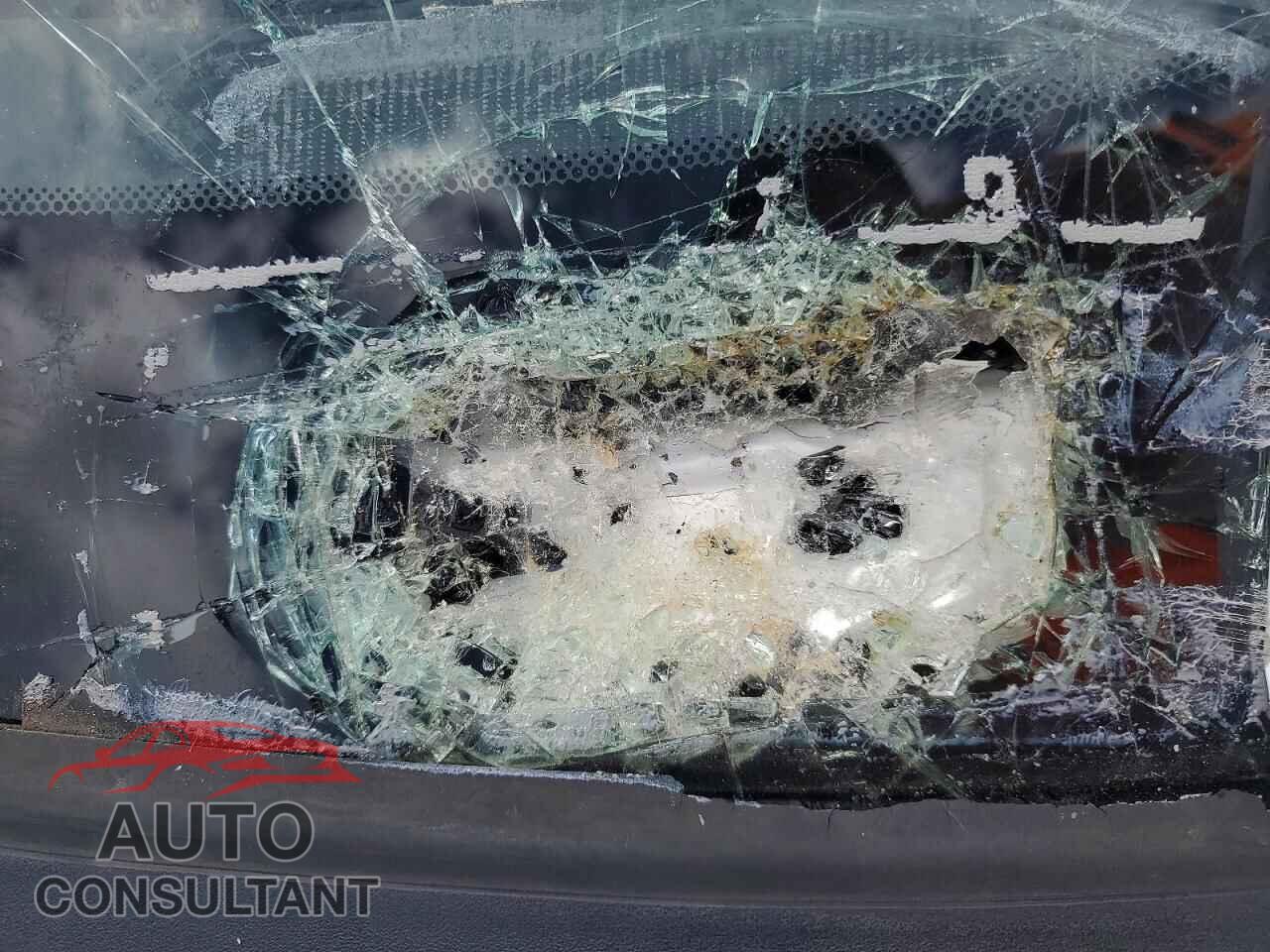 DODGE CHALLENGER 2018 - 2C3CDZAG2JH327762