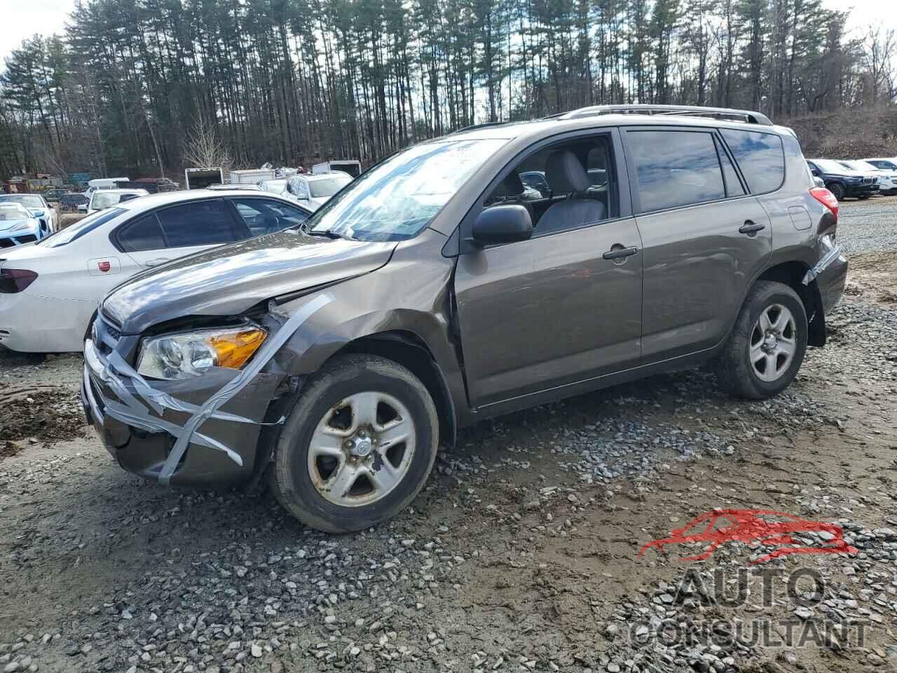 TOYOTA RAV4 2011 - 2T3BF4DV5BW169675