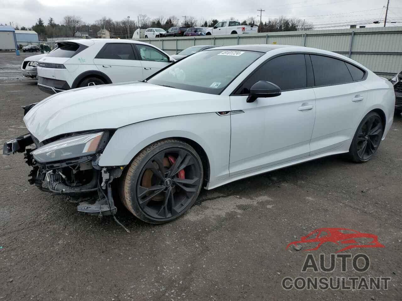 AUDI S5/RS5 2021 - WAUC4CF56MA006226