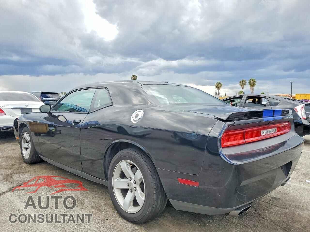 DODGE CHALLENGER 2012 - 2C3CDYBT7CH246491