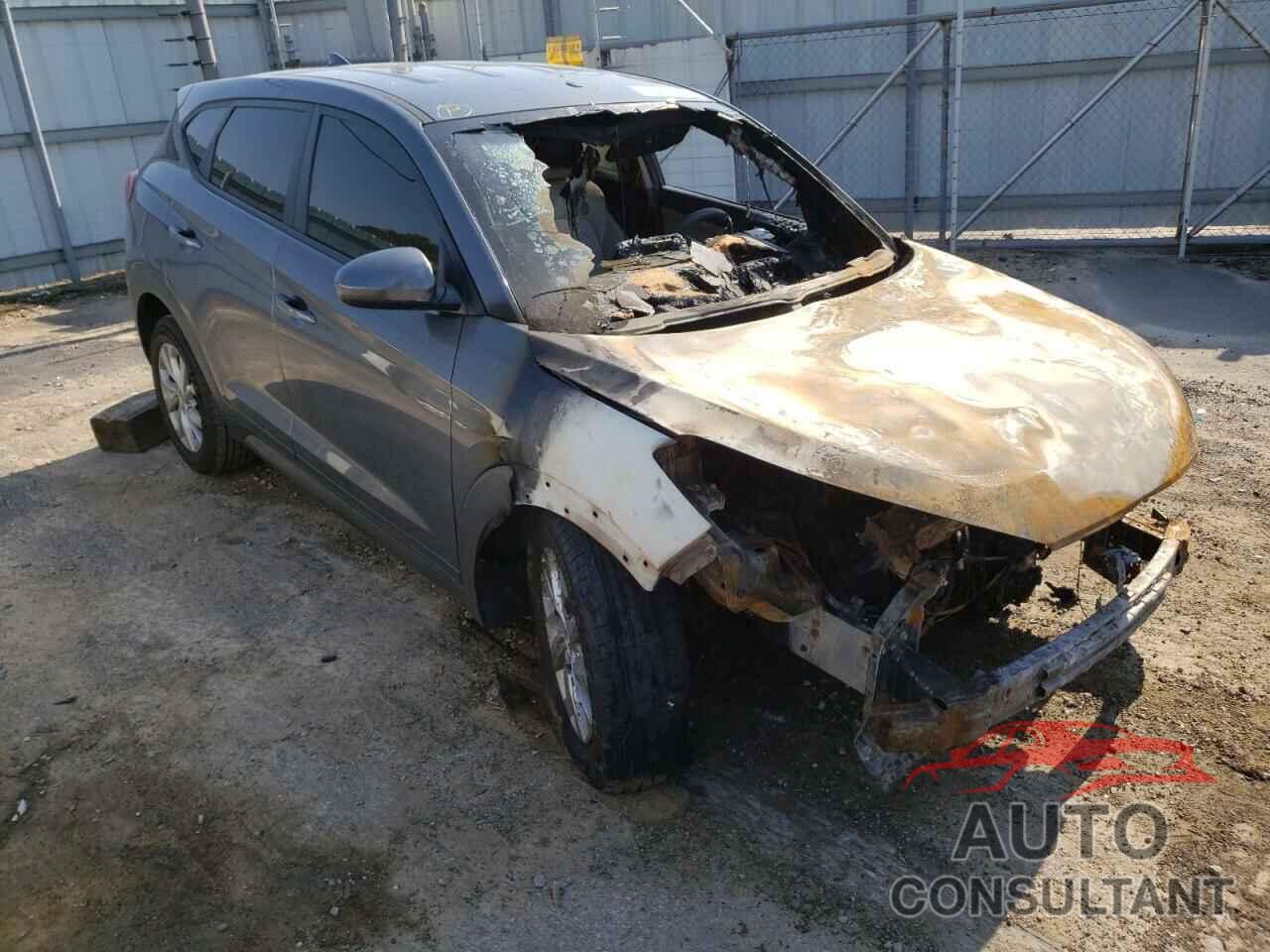 HYUNDAI TUCSON 2019 - KM8J23A40KU840305