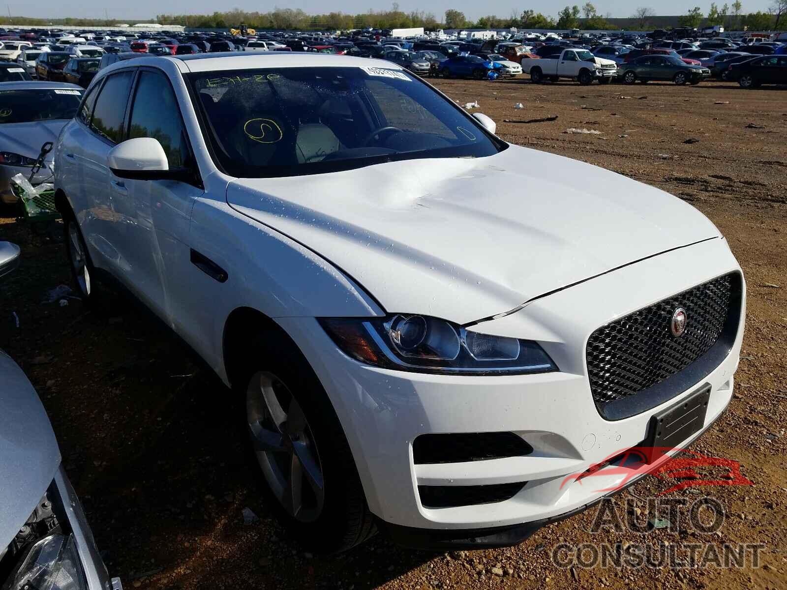 JAGUAR F-PACE 2020 - SADCJ2FX3LA620936