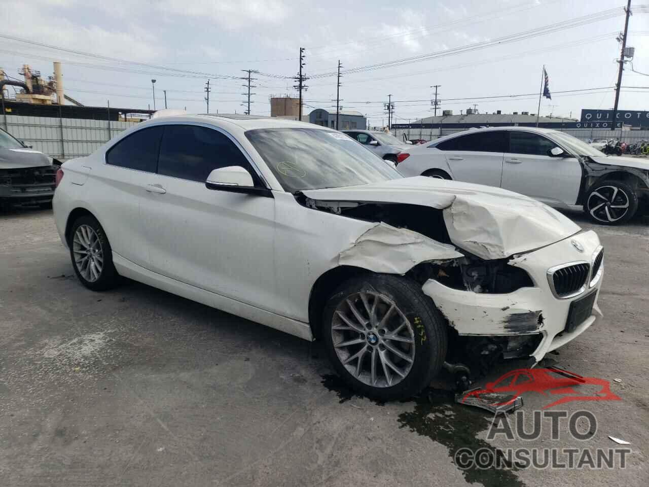 BMW 2 SERIES 2016 - WBA1F9C58GV544254