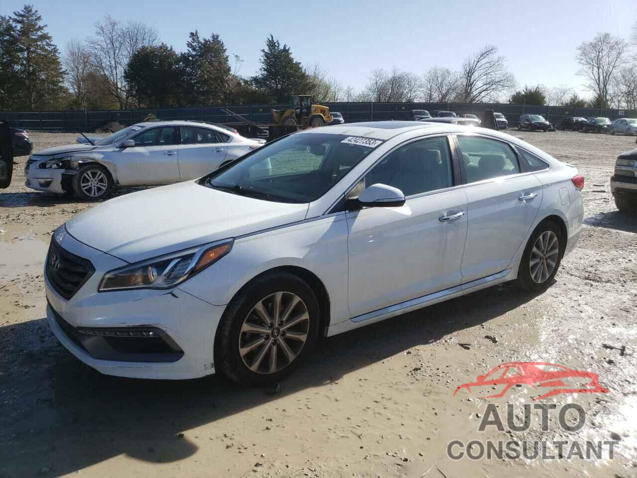 HYUNDAI SONATA 2016 - 5NPE34AF6GH298803