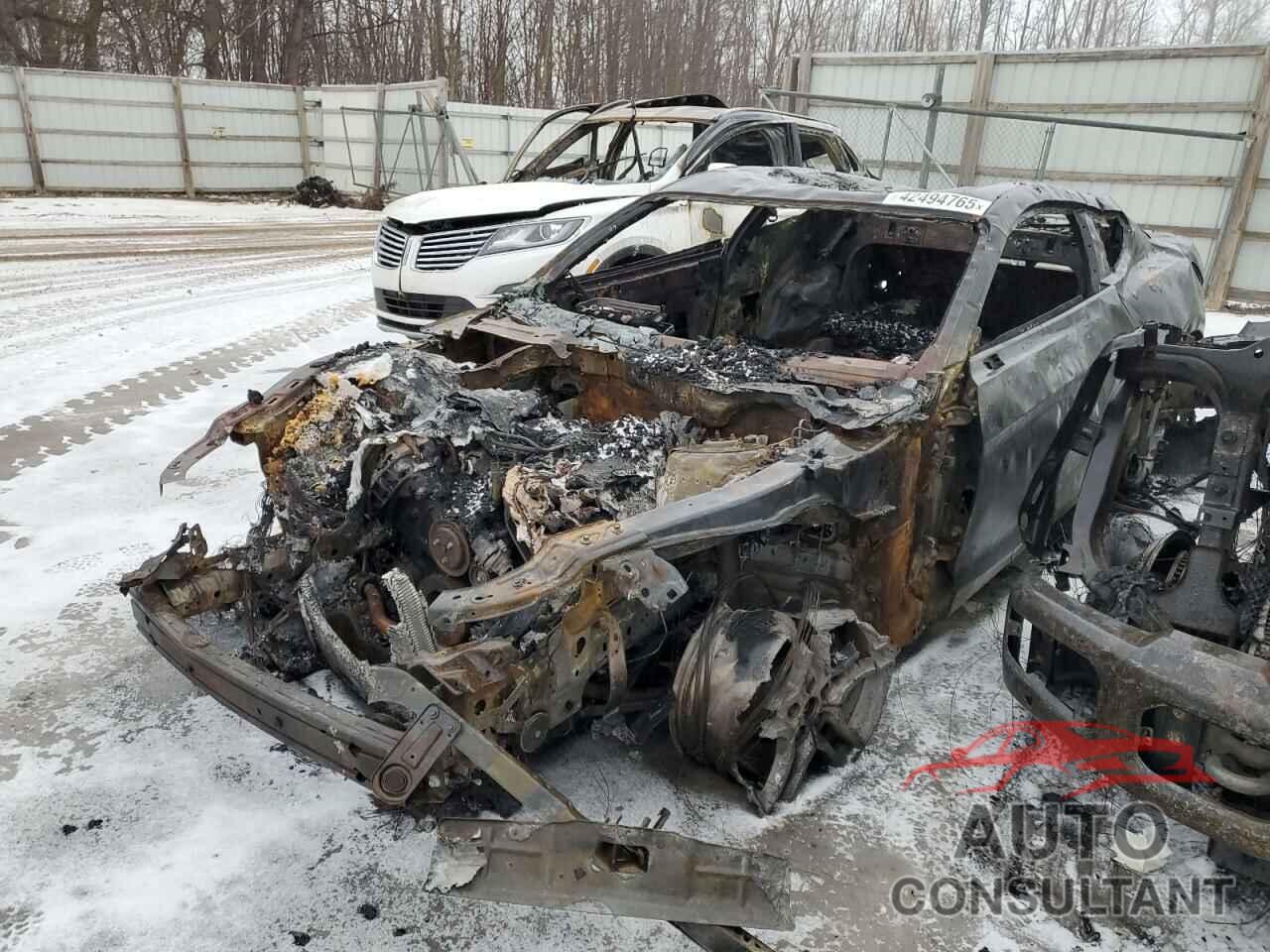 FORD MUSTANG 2019 - 1FA6P8CF0K5186915