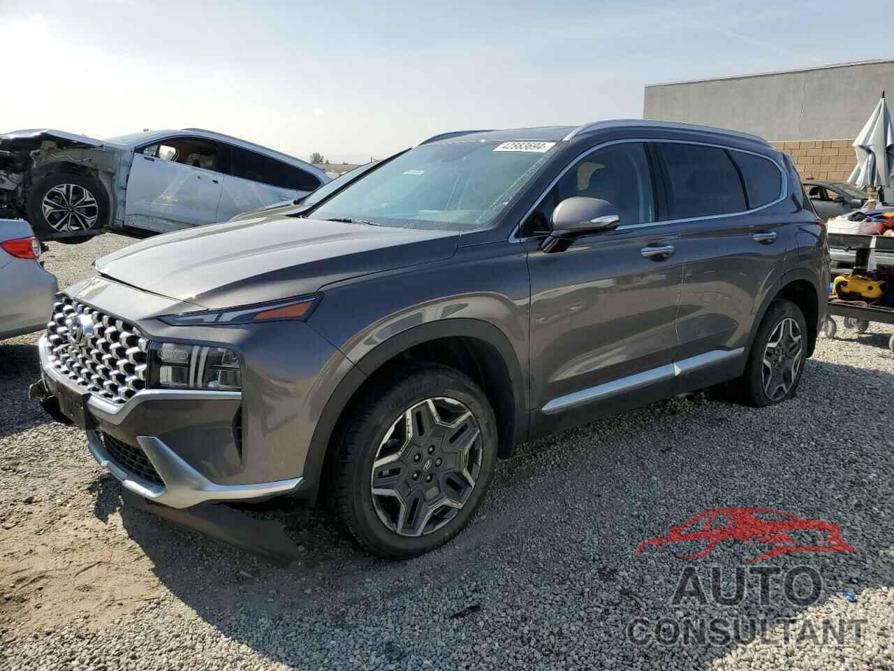 HYUNDAI SANTA FE 2022 - KM8S6DA20NU028181