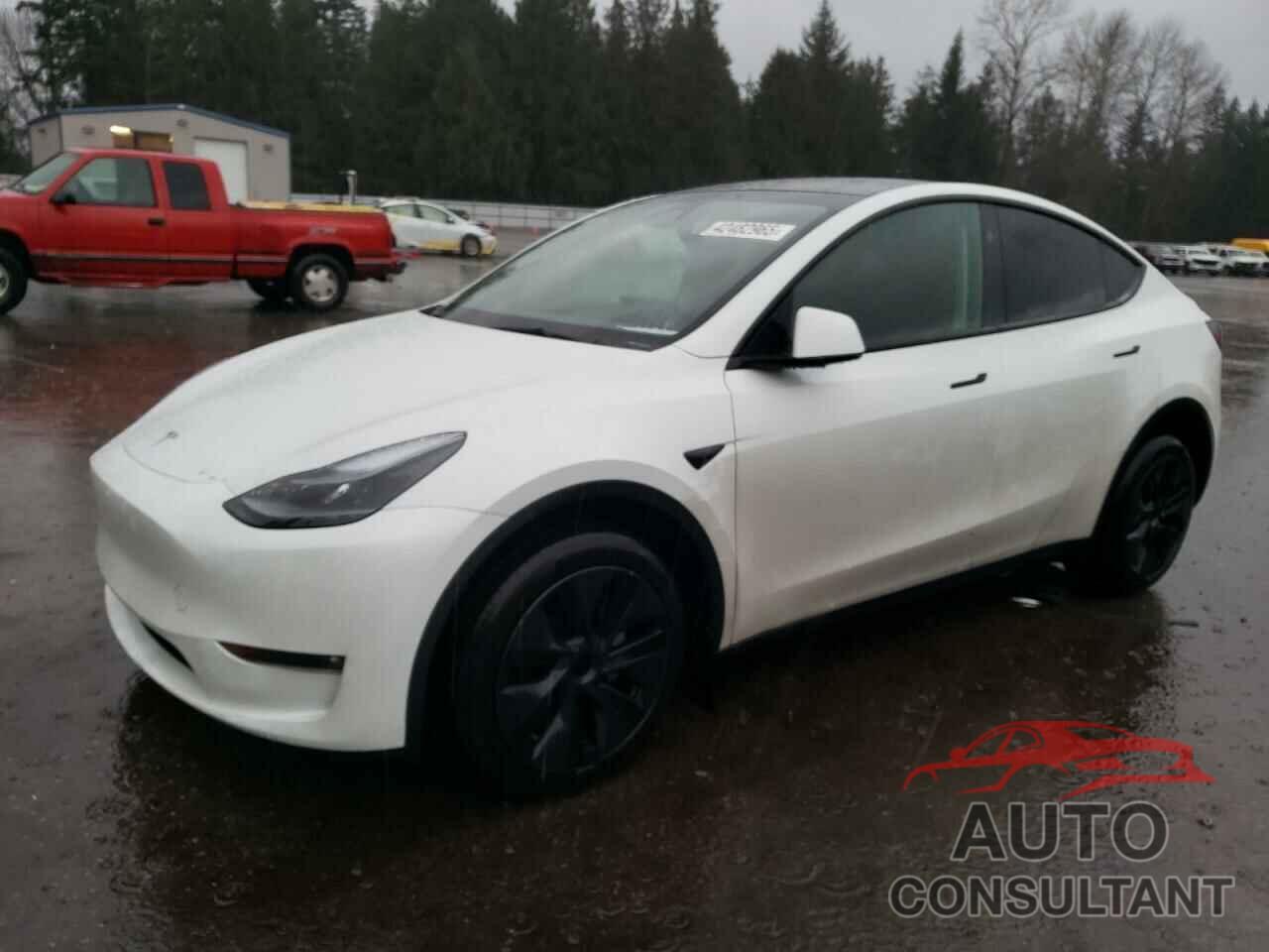 TESLA MODEL Y 2024 - 7SAYGDEE8RF193395