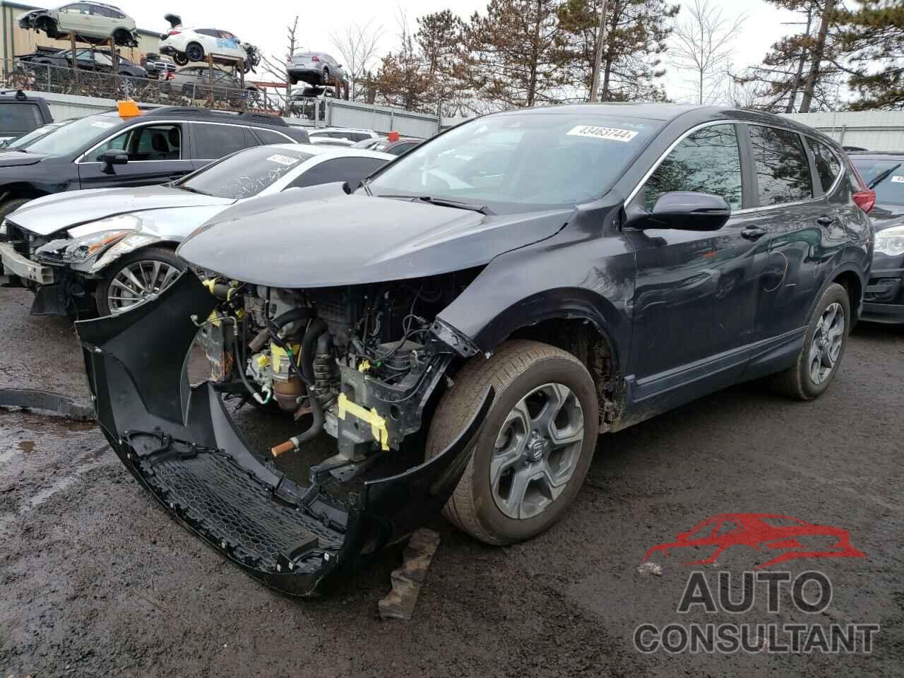 HONDA CRV 2019 - 2HKRW2H59KH600085