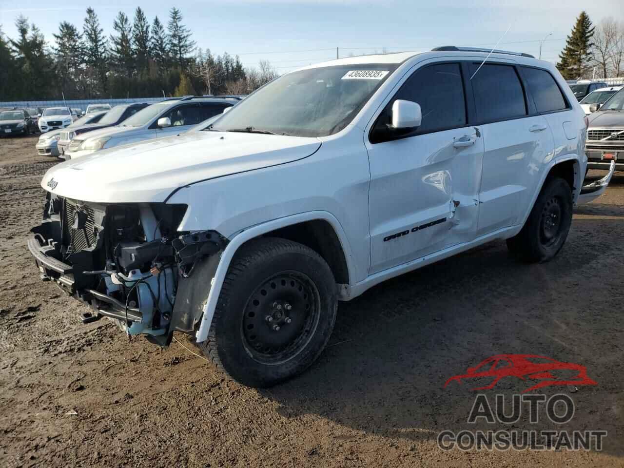 JEEP GRAND CHER 2019 - 1C4RJFAG6KC538612