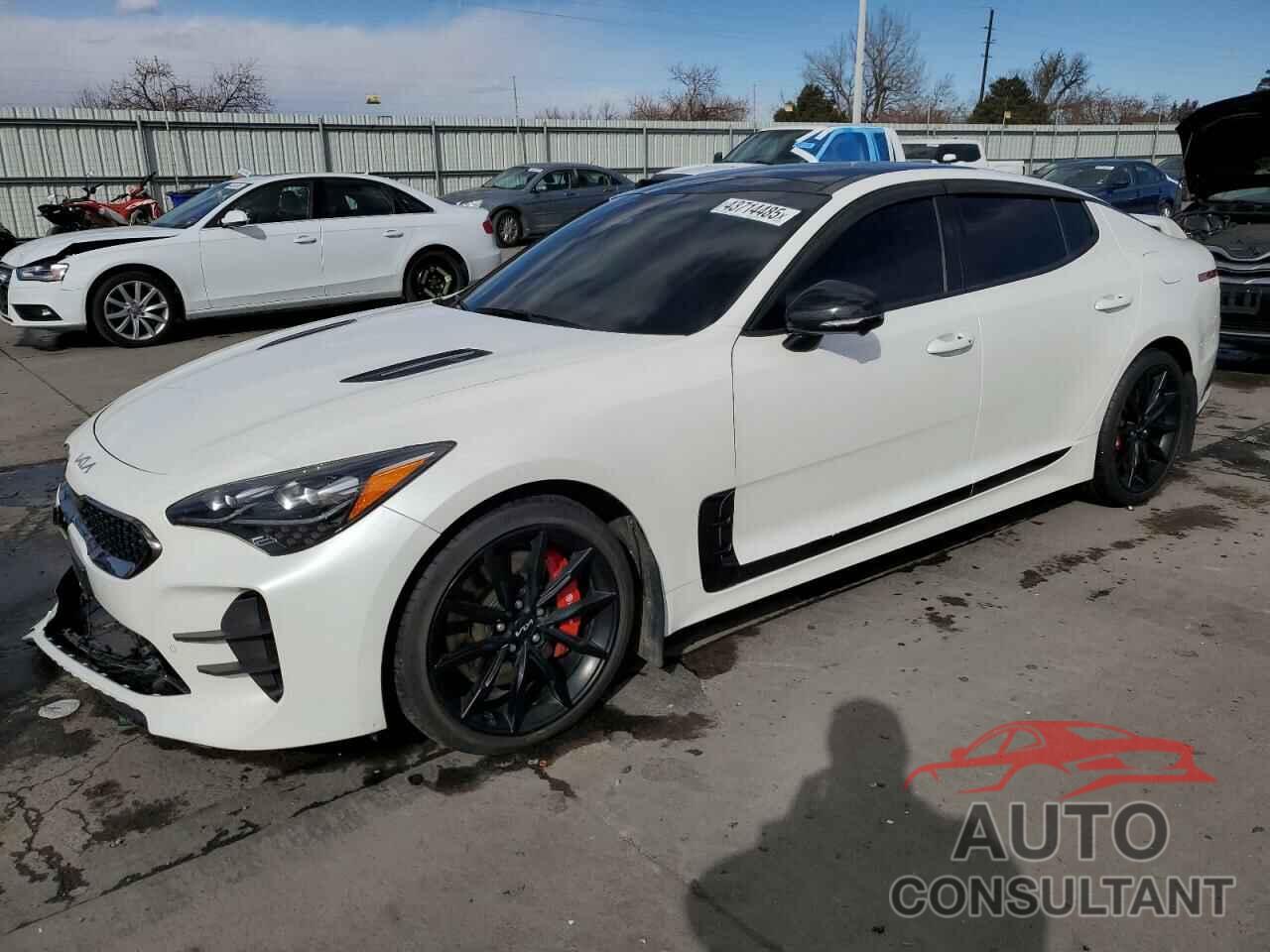 KIA STINGER 2022 - KNAE55LC7N6103251