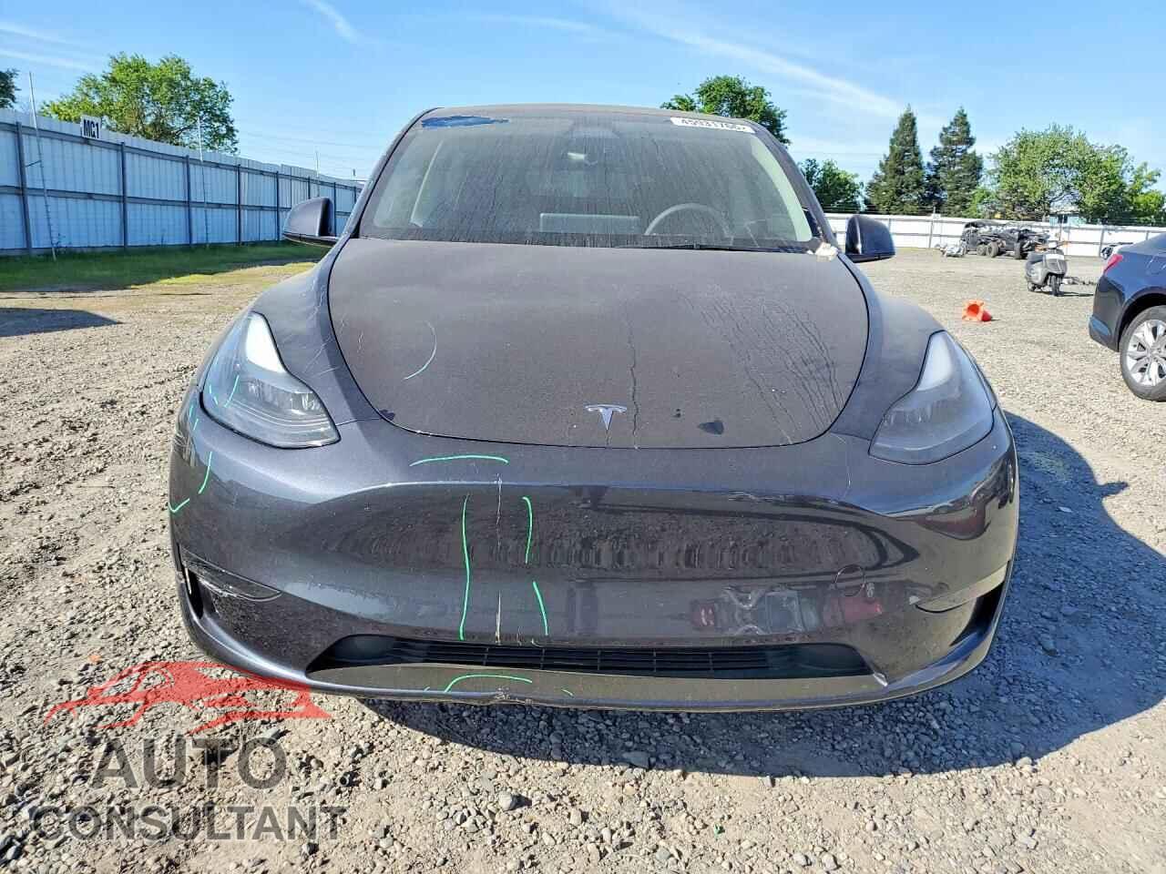 TESLA MODEL Y 2024 - 7SAYGDEDXRF166321