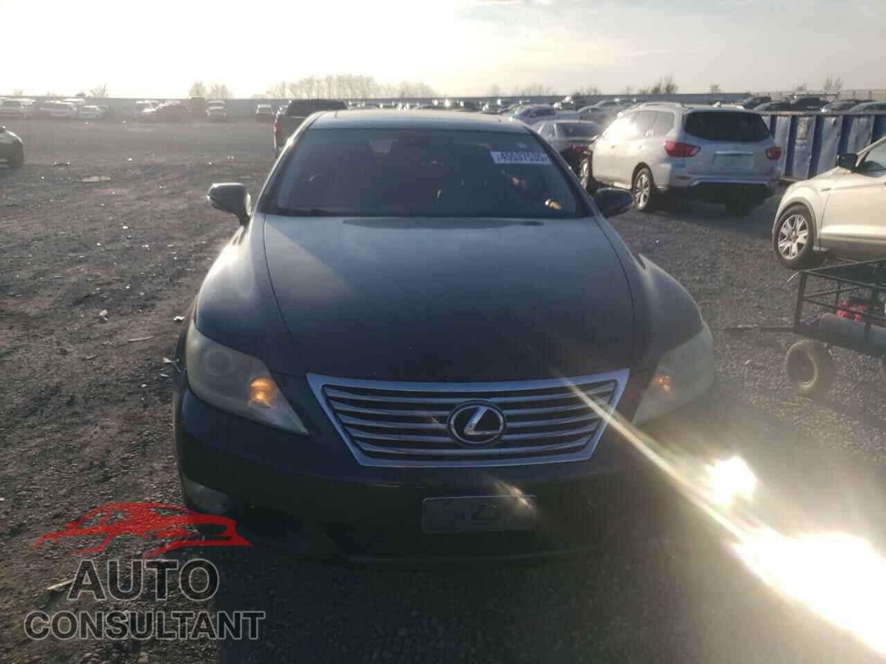 LEXUS LS460 2010 - JTHBL5EF5A5093059