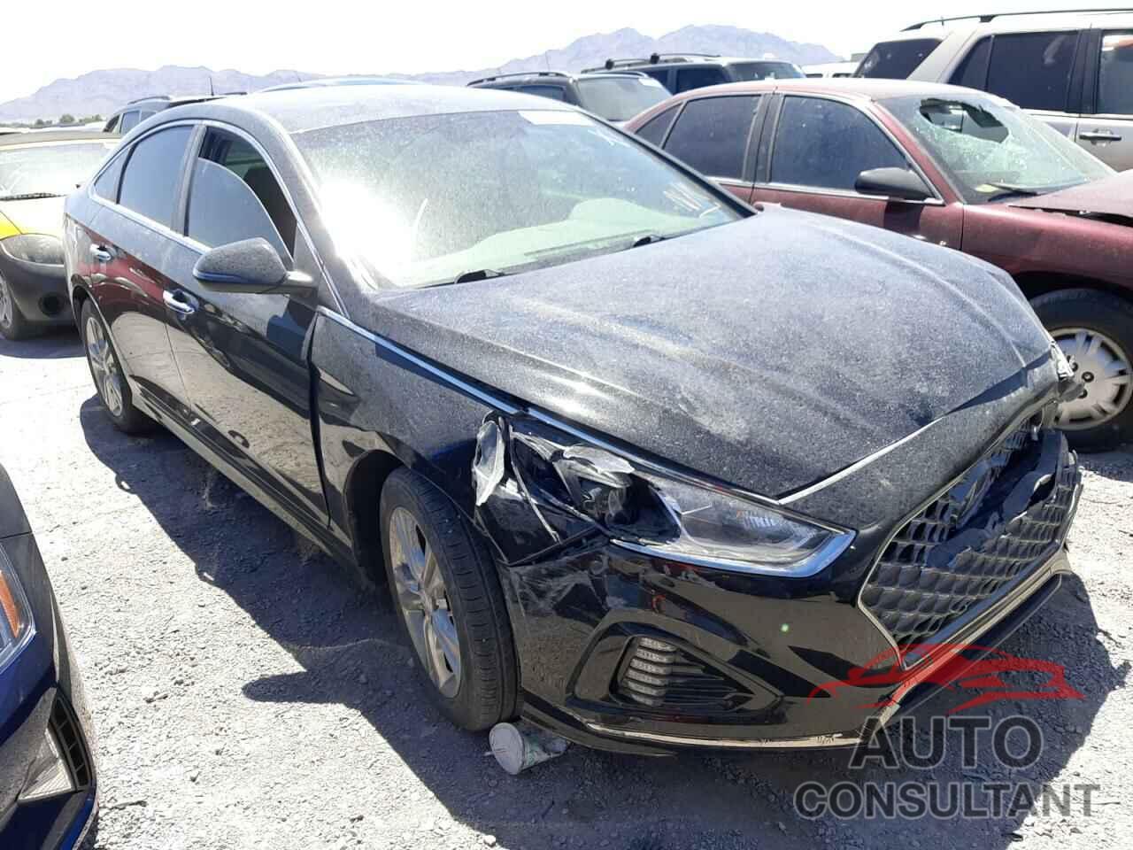 HYUNDAI SONATA 2019 - 5NPE34AF2KH745958