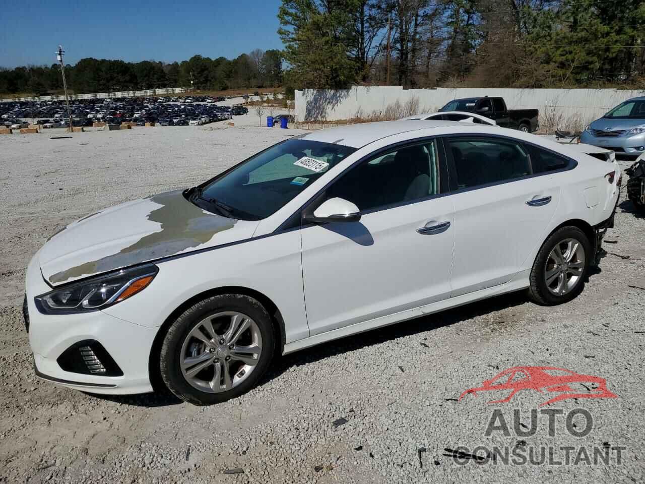 HYUNDAI SONATA 2019 - 5NPE34AF4KH773602