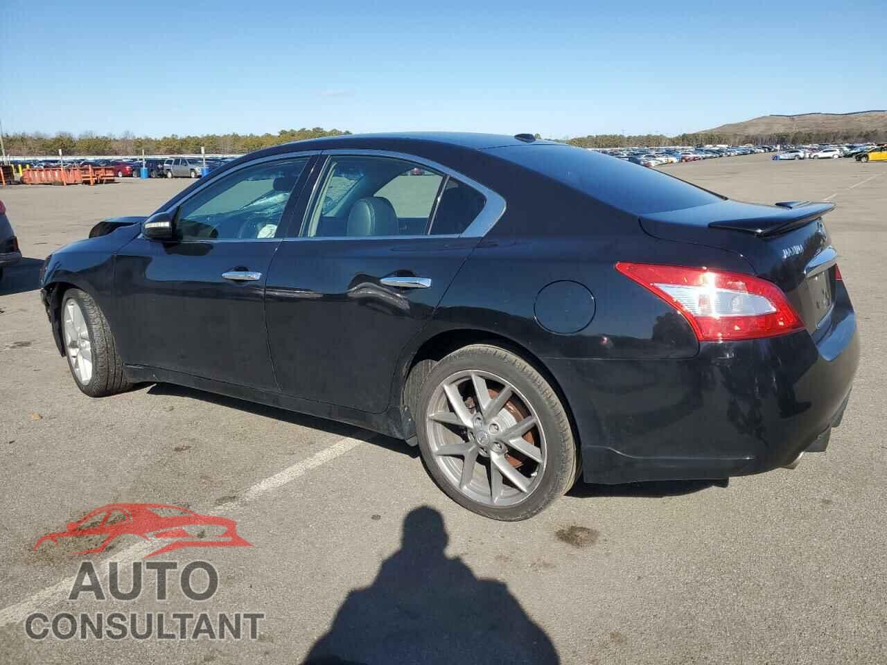 NISSAN MAXIMA 2011 - 1N4AA5AP1BC868848