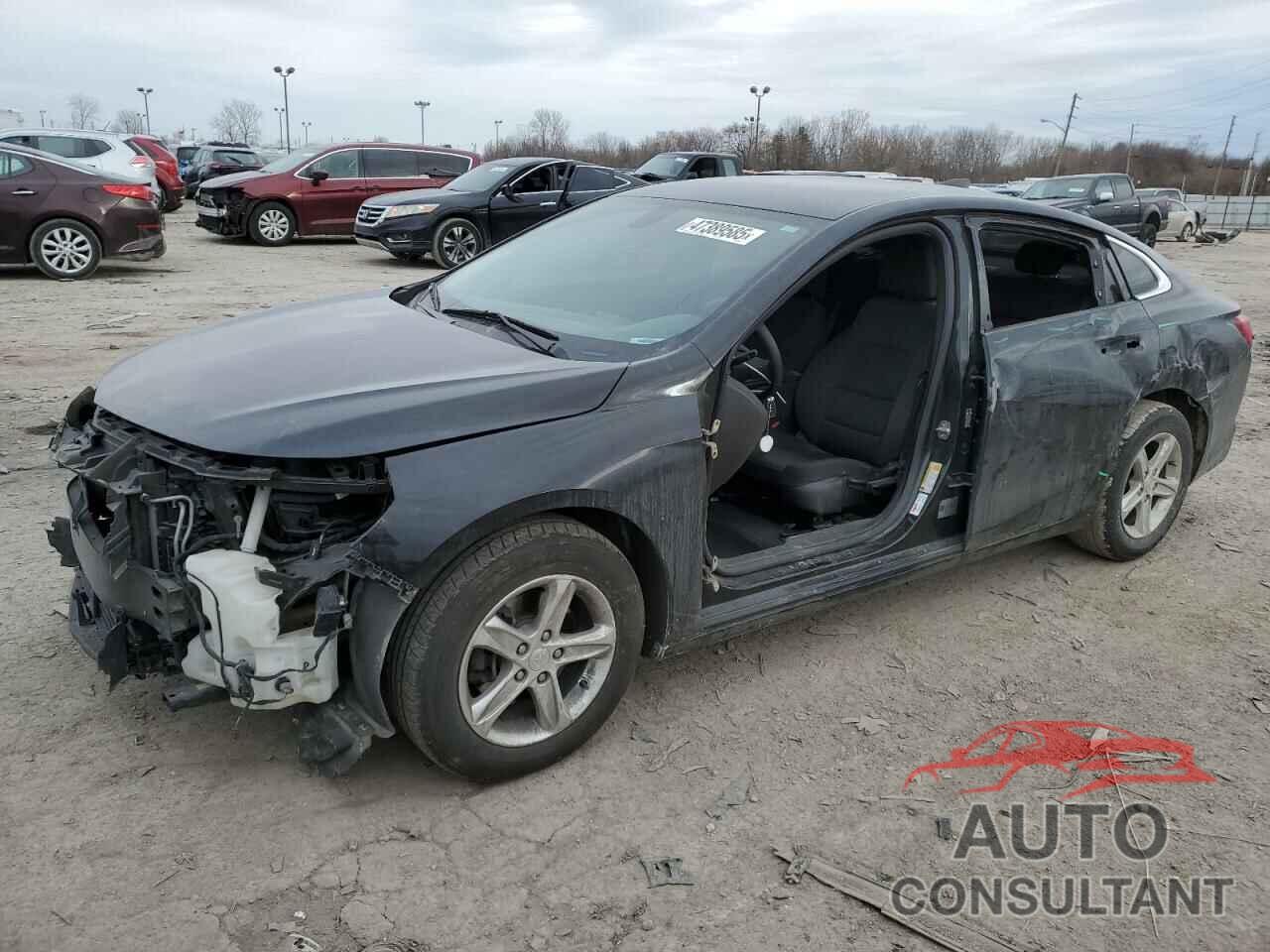 CHEVROLET MALIBU 2019 - 1G1ZB5ST7KF189602
