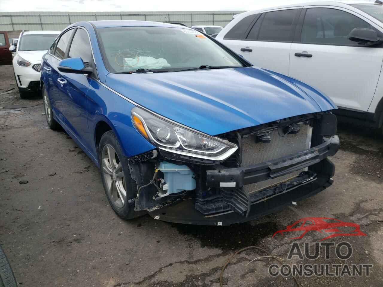 HYUNDAI SONATA 2019 - 5NPE34AF7KH783363