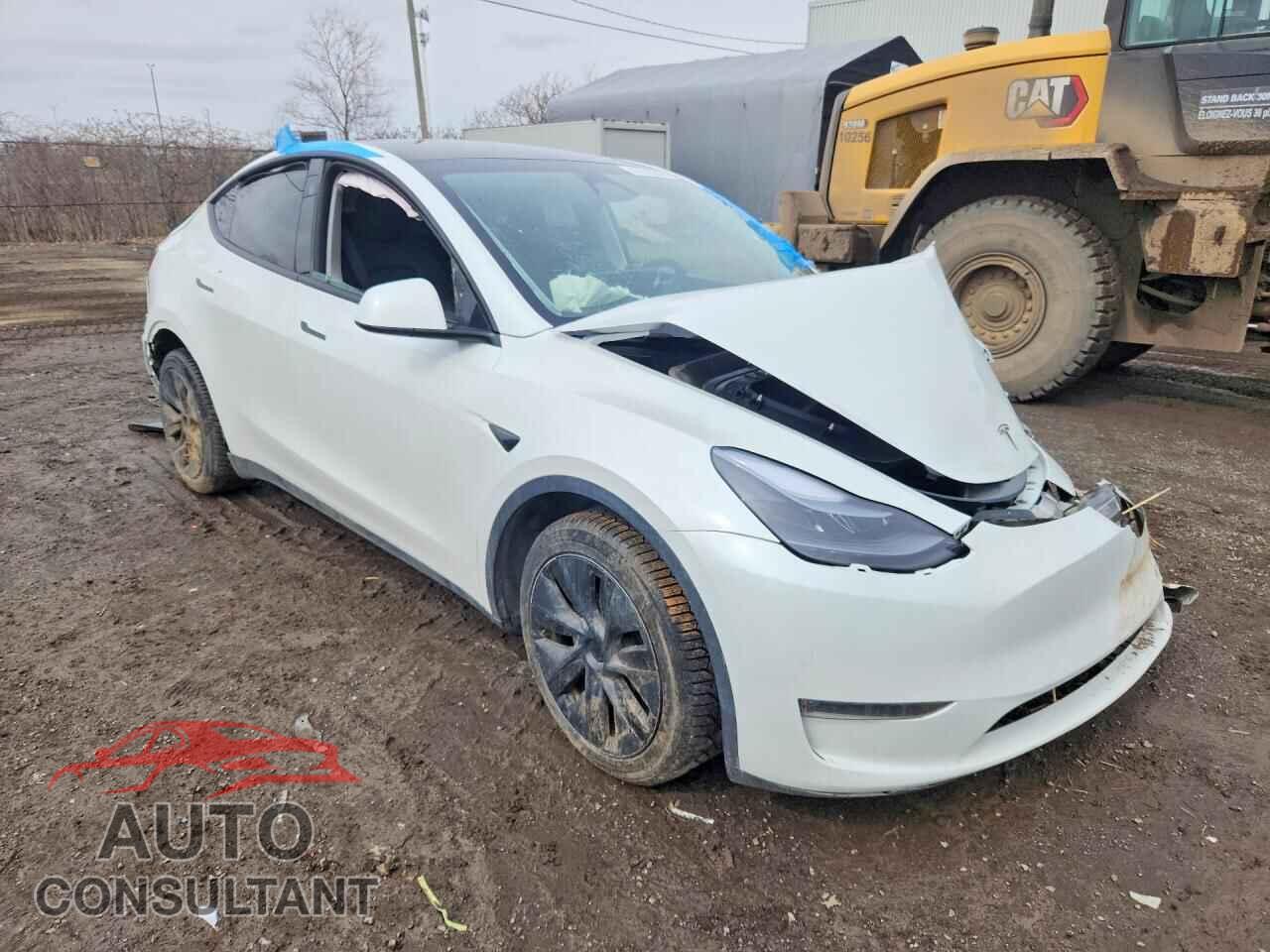 TESLA MODEL Y 2024 - 7SAYGDEE3RF109676