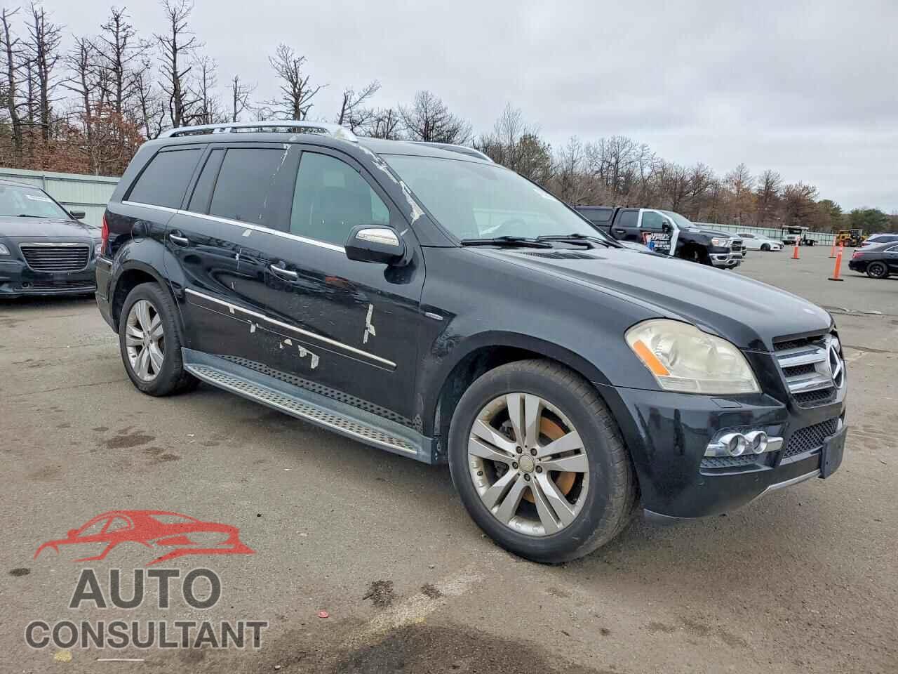 MERCEDES-BENZ GL-CLASS 2010 - 4JGBF2FE8AA533985