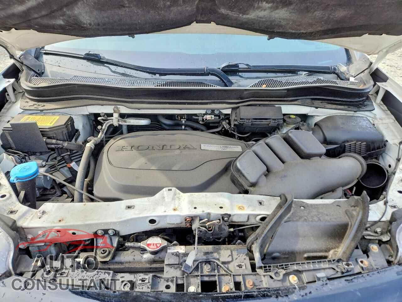 HONDA PASSPORT 2019 - 5FNYF8H25KB010906